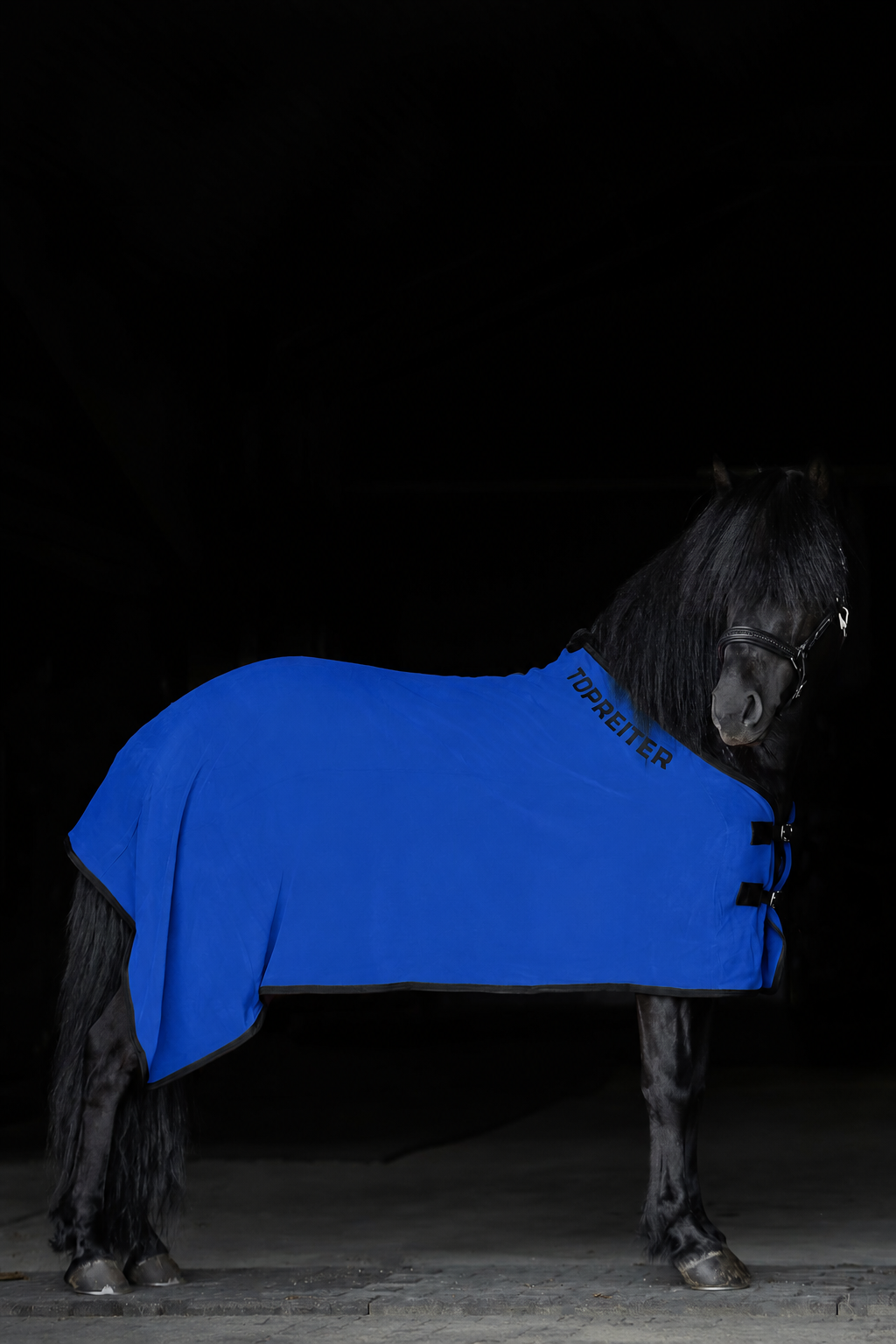 DE-FLE-GRY-125 - Royalblau