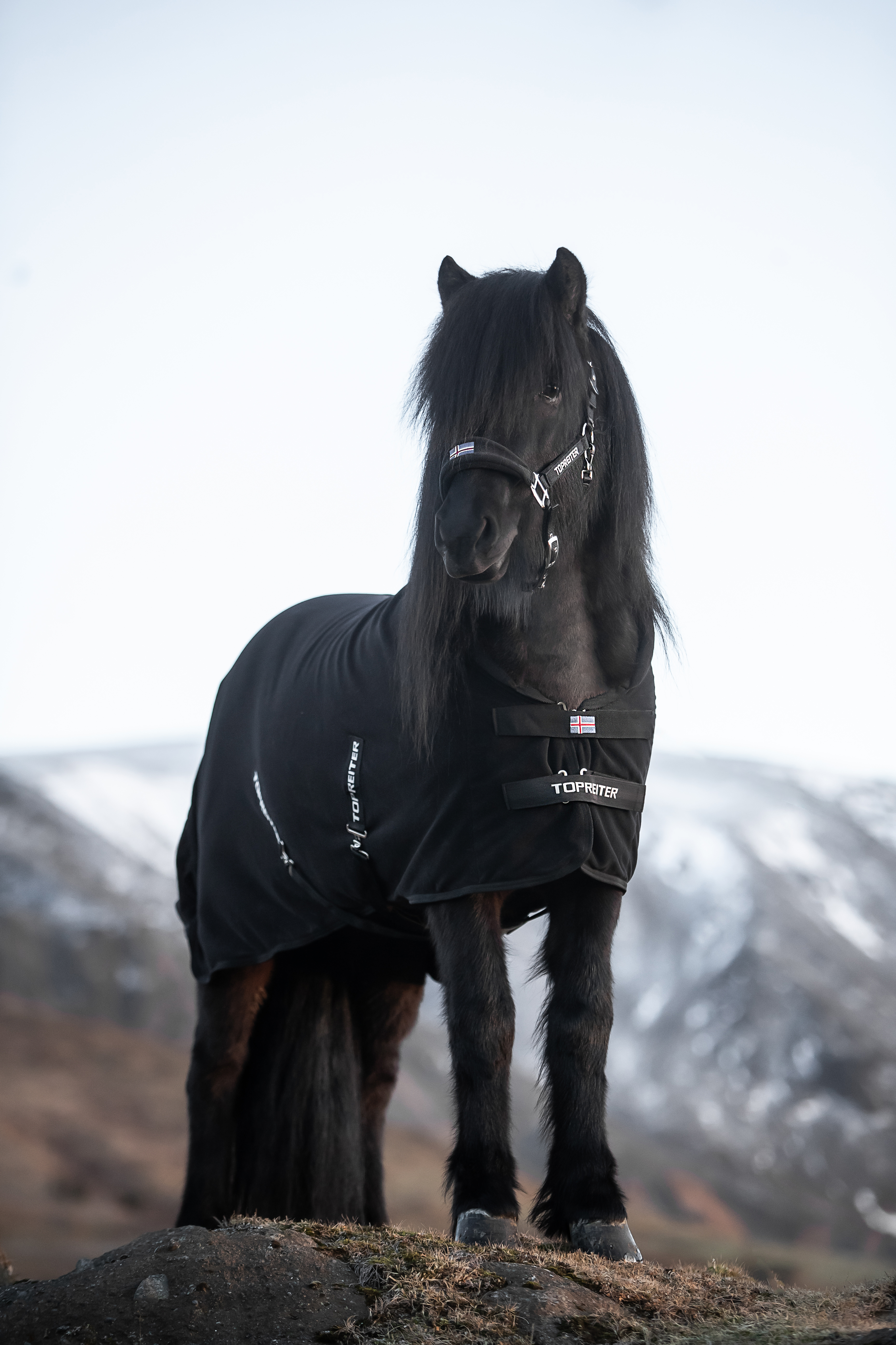 DE-FLE-KLK-BU-ICE-135 -