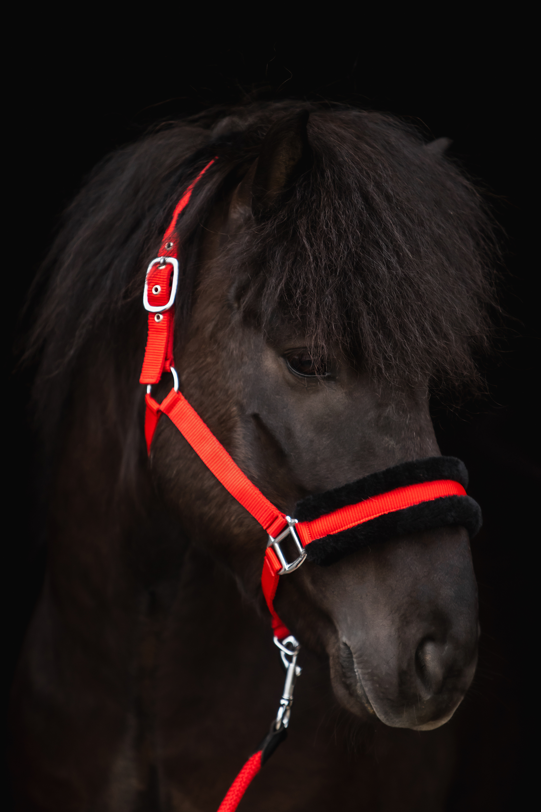 Soft Line Halter Soft Line Halter