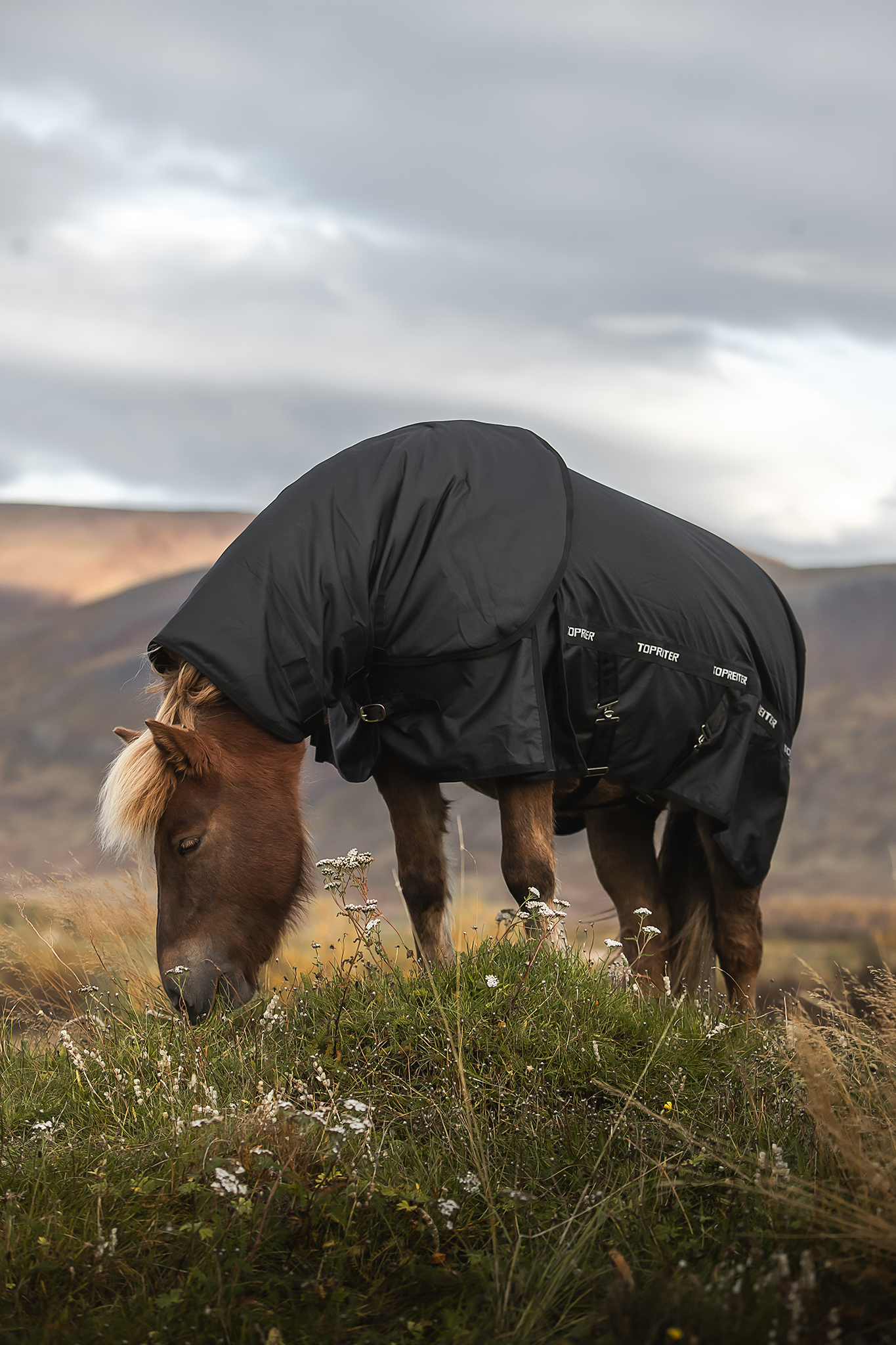 Waterproof Turnout Rug Waterproof Turnout Rug