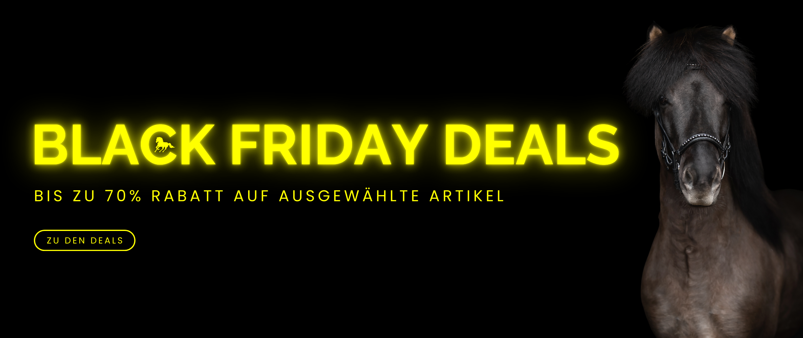 Topreiter_BlackFriday_German