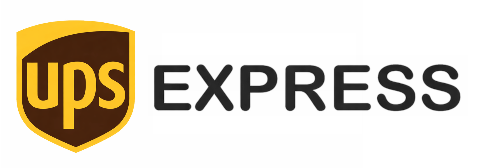 UPS Express (inkl. Samstag)