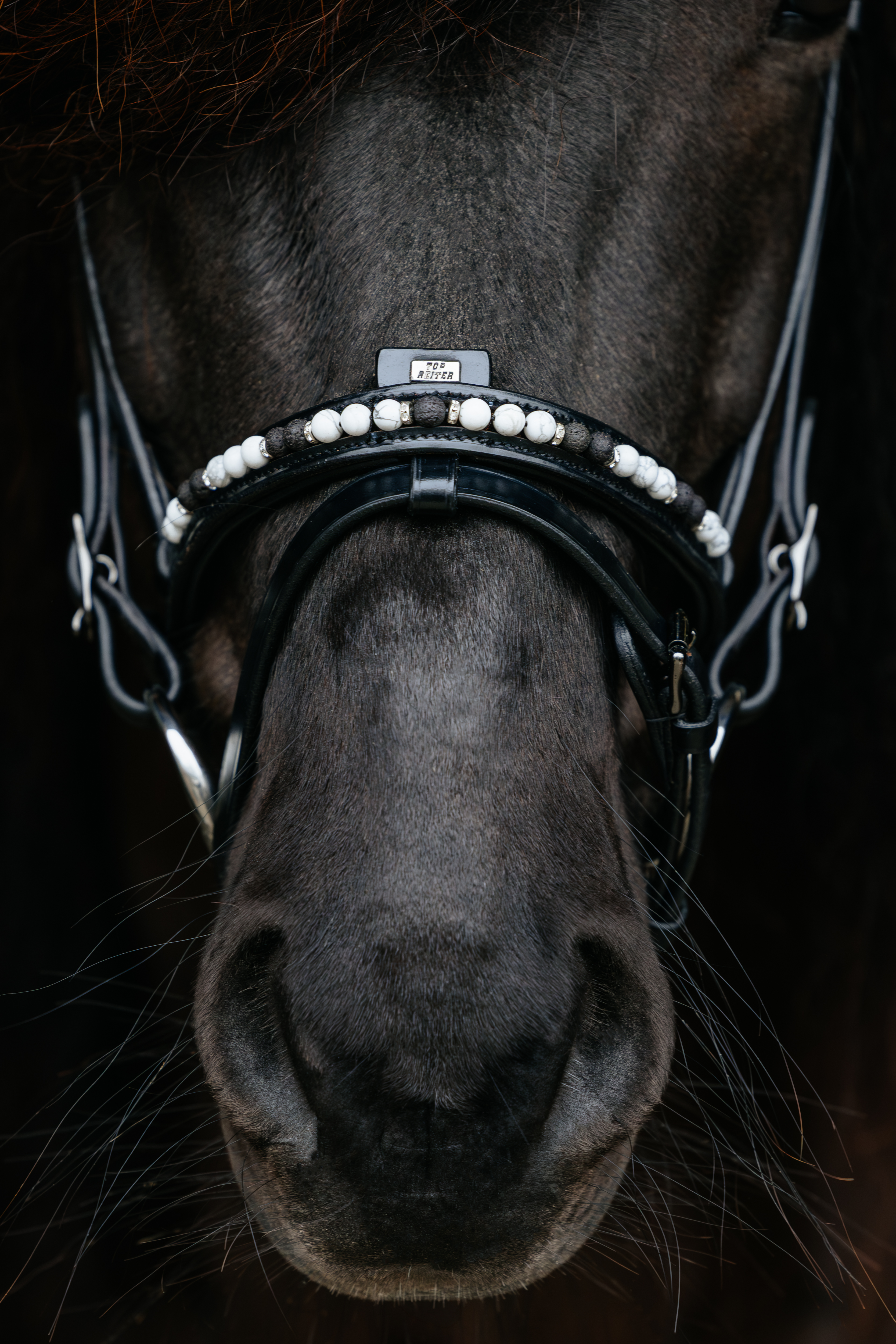 Orka Noseband