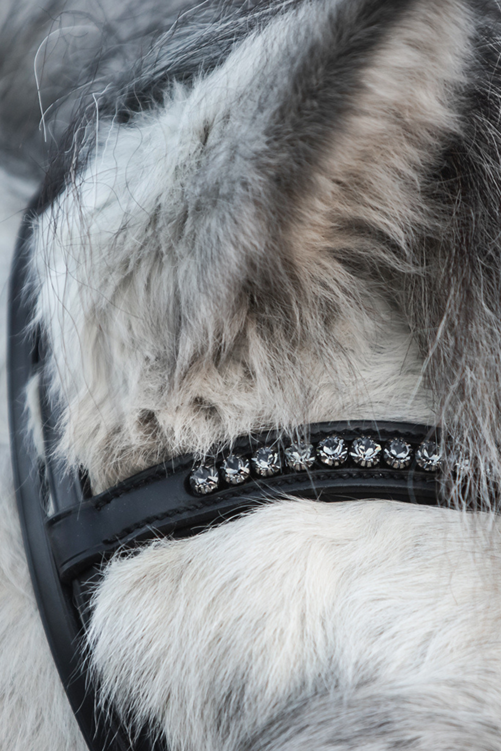 Diamond Kopfstück Diamond Kopfstück