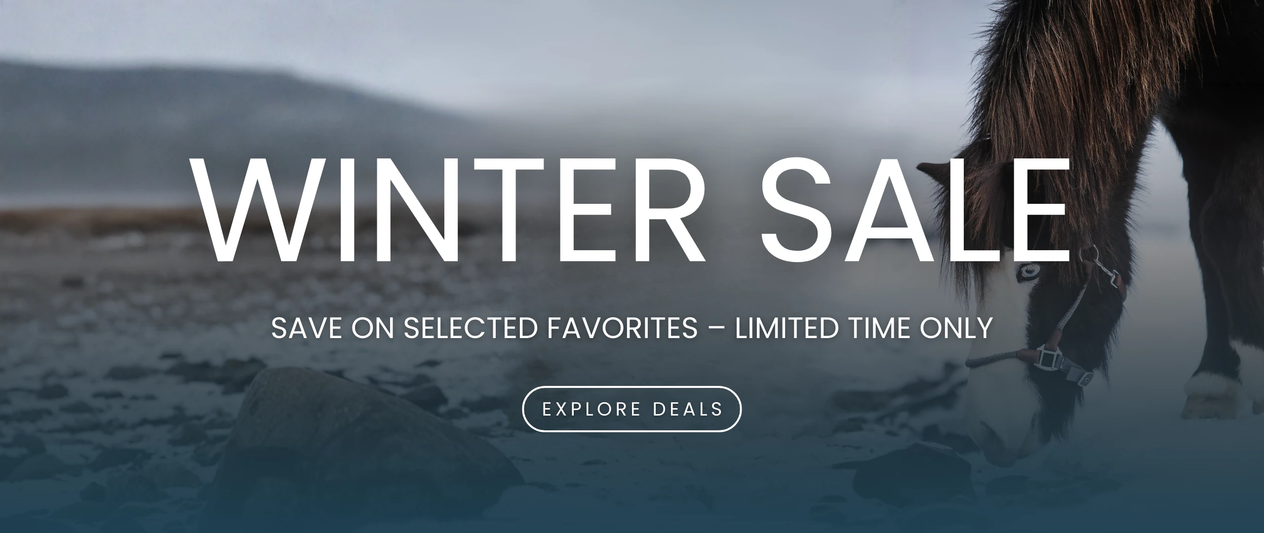 WinterSale26_Desktop_English