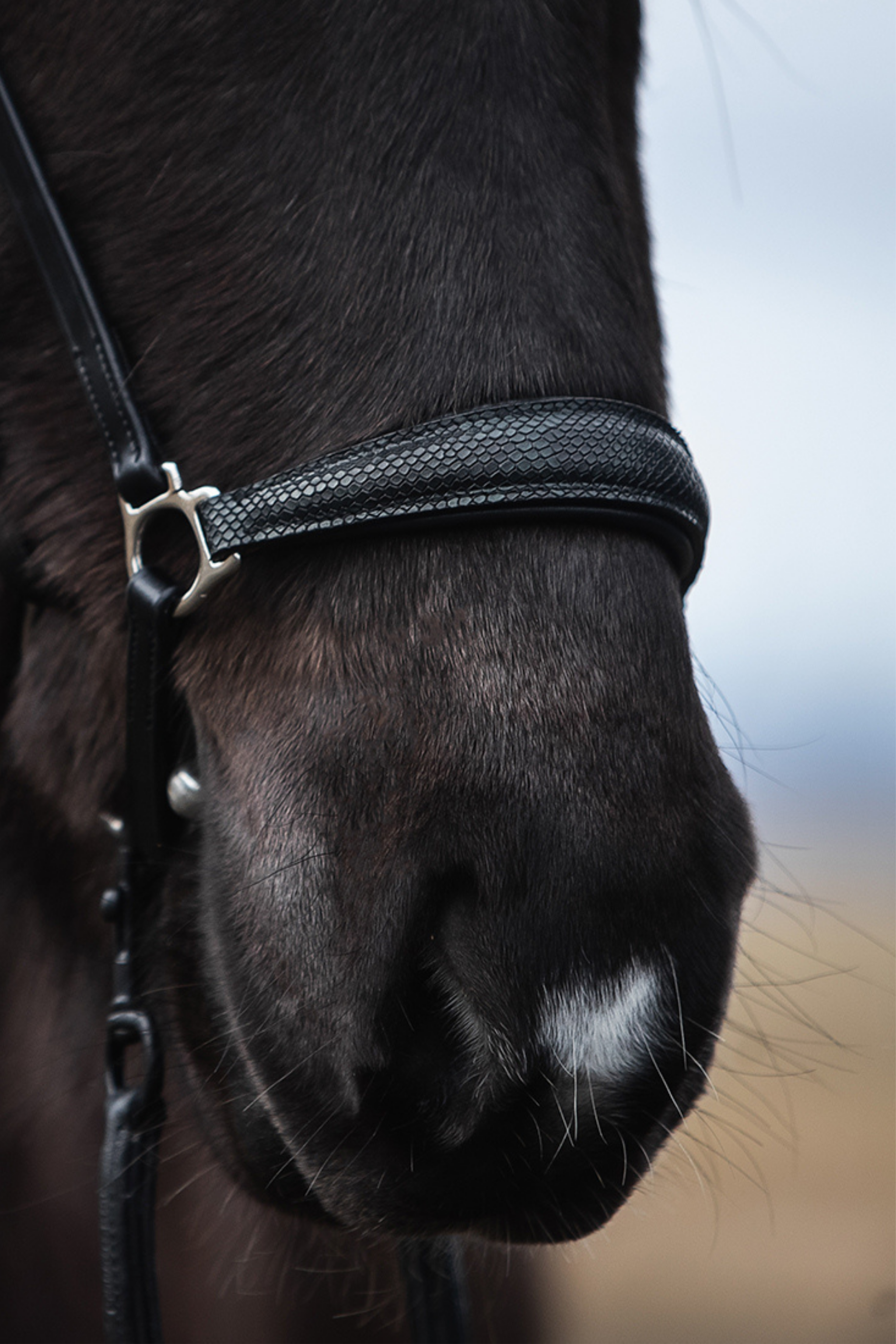 Mosi Tígull Noseband Mosi Tígull Noseband