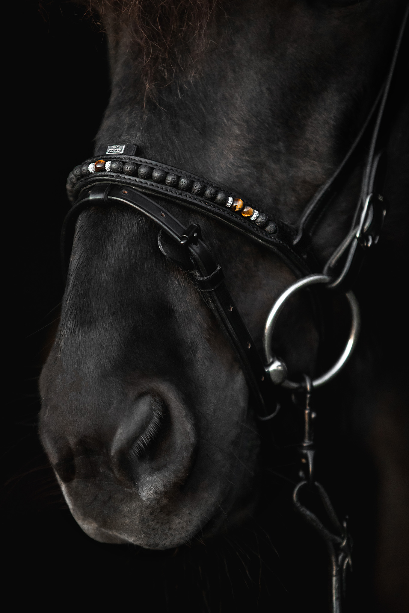 Orka Nasenriemen Englisch Kombiniert