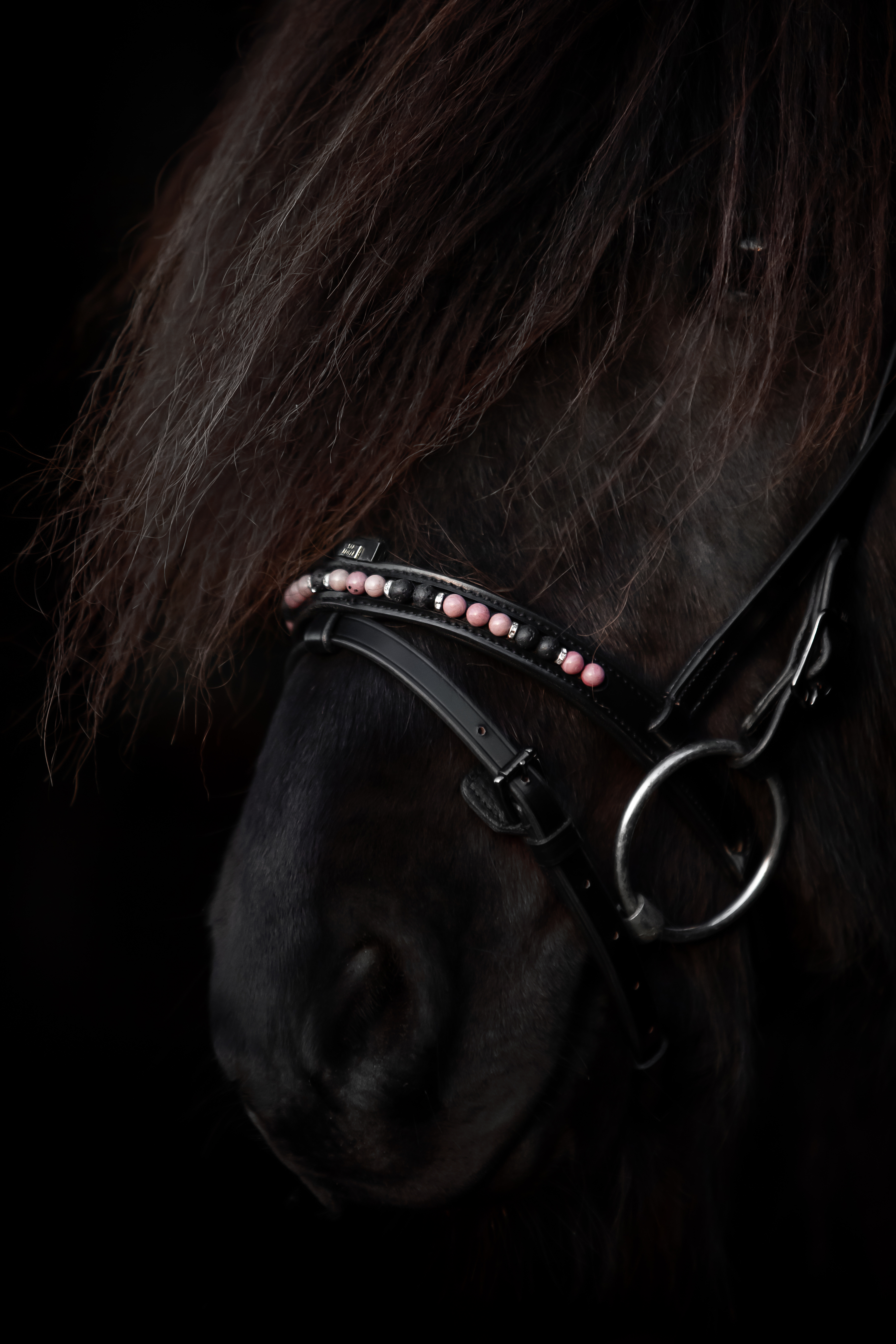Orka Noseband