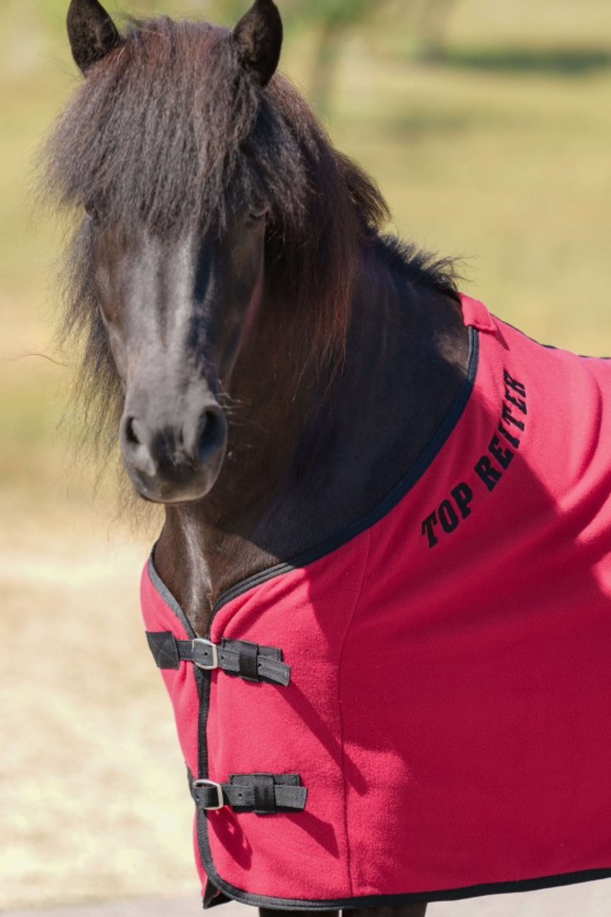 Fleecedecke Fleecedecke