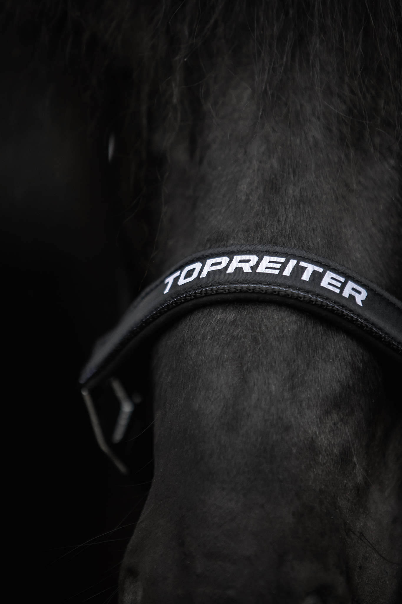 TR II Halfter