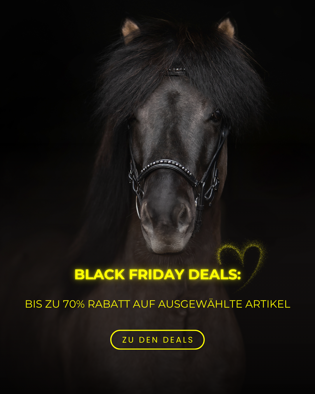 topreiter_blackfriday-german-mobile