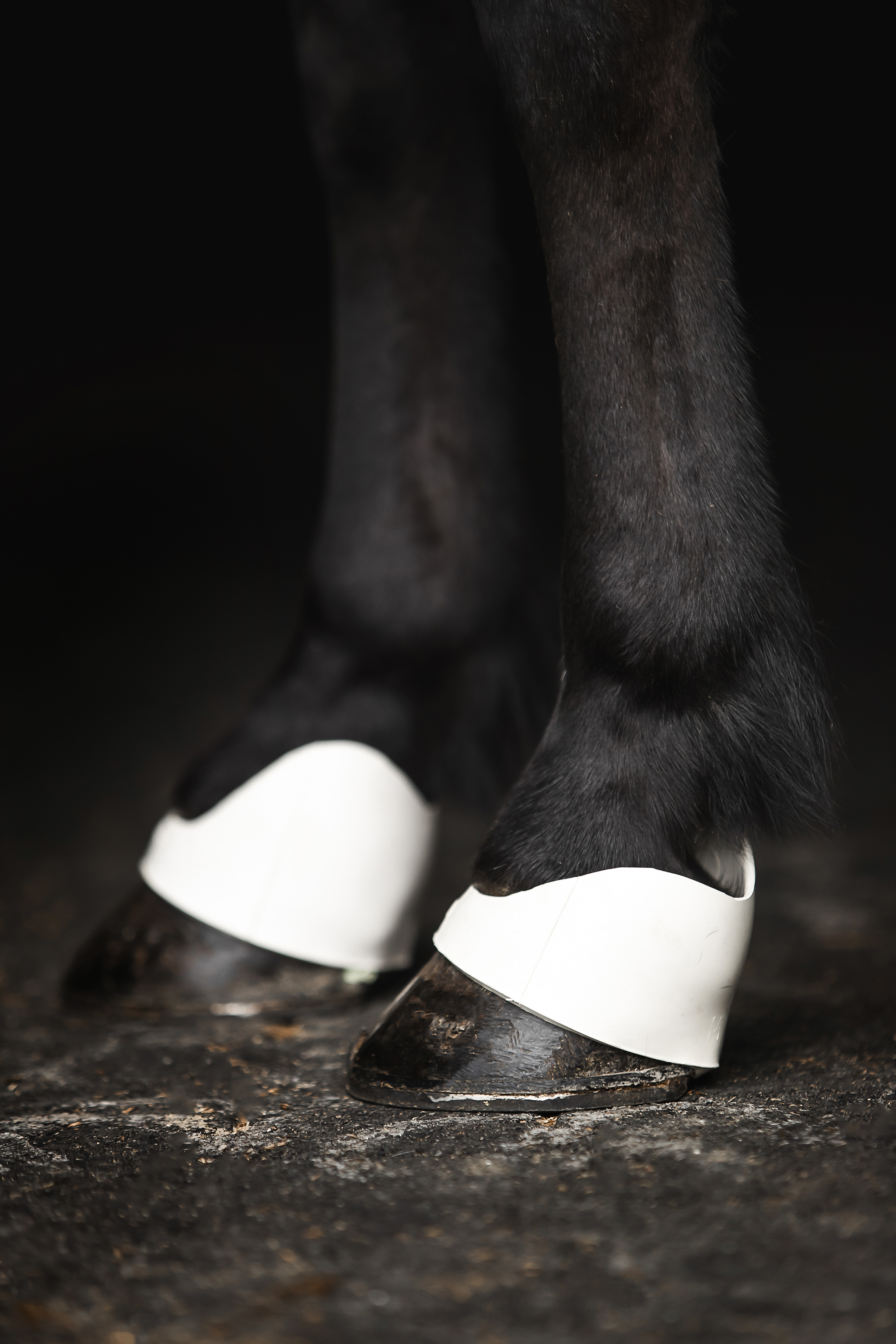 topreiter-boots-scalpers