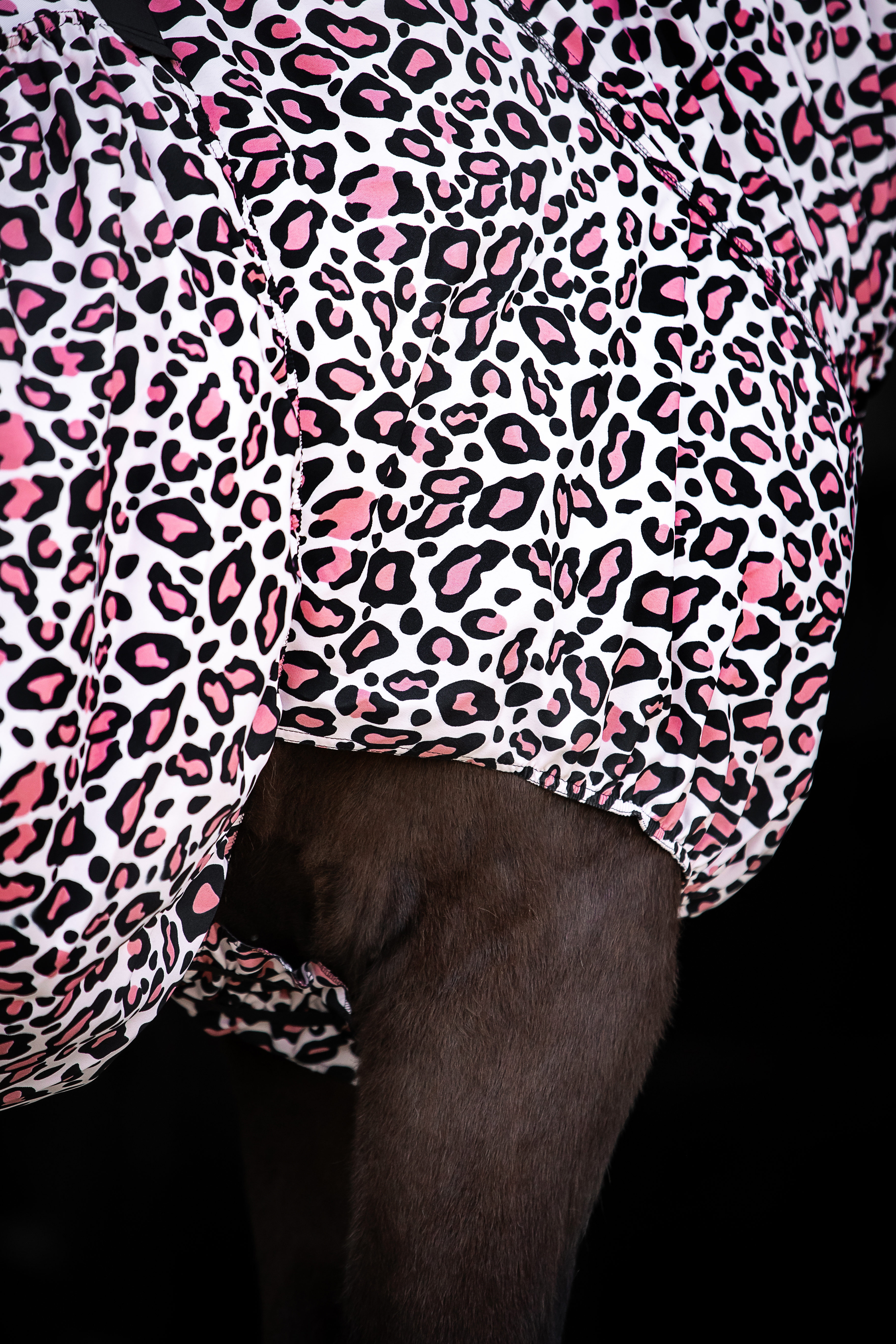 Sweet Itch Rugs for Icelandic Horses | TOPREITER