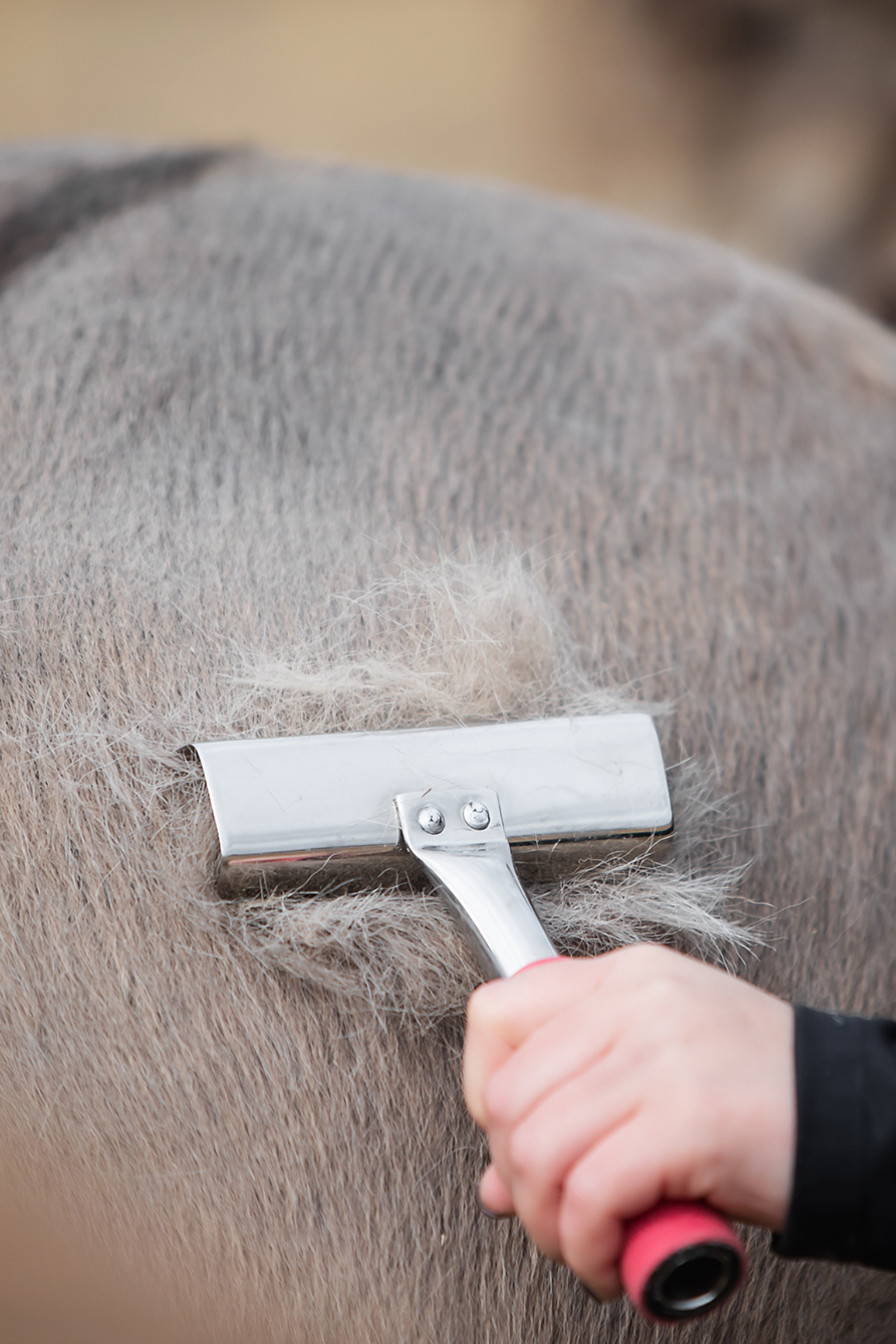 Fellkratzer mit Gel-Griff Fellkratzer mit Gel-Griff