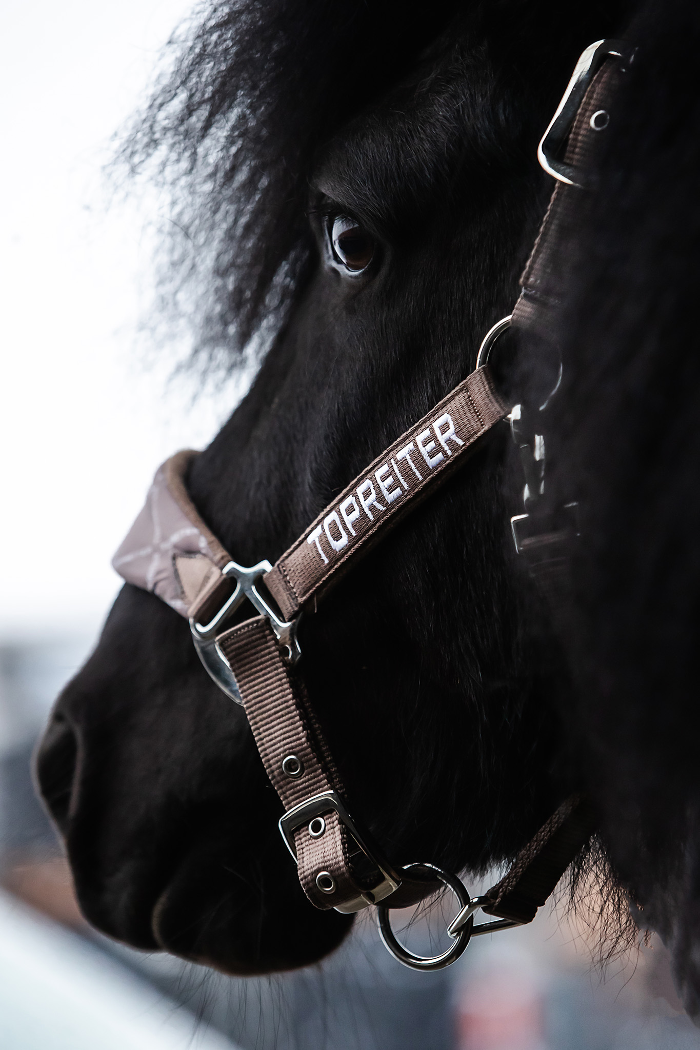 Klaki Halfter Set Klaki Halfter Set