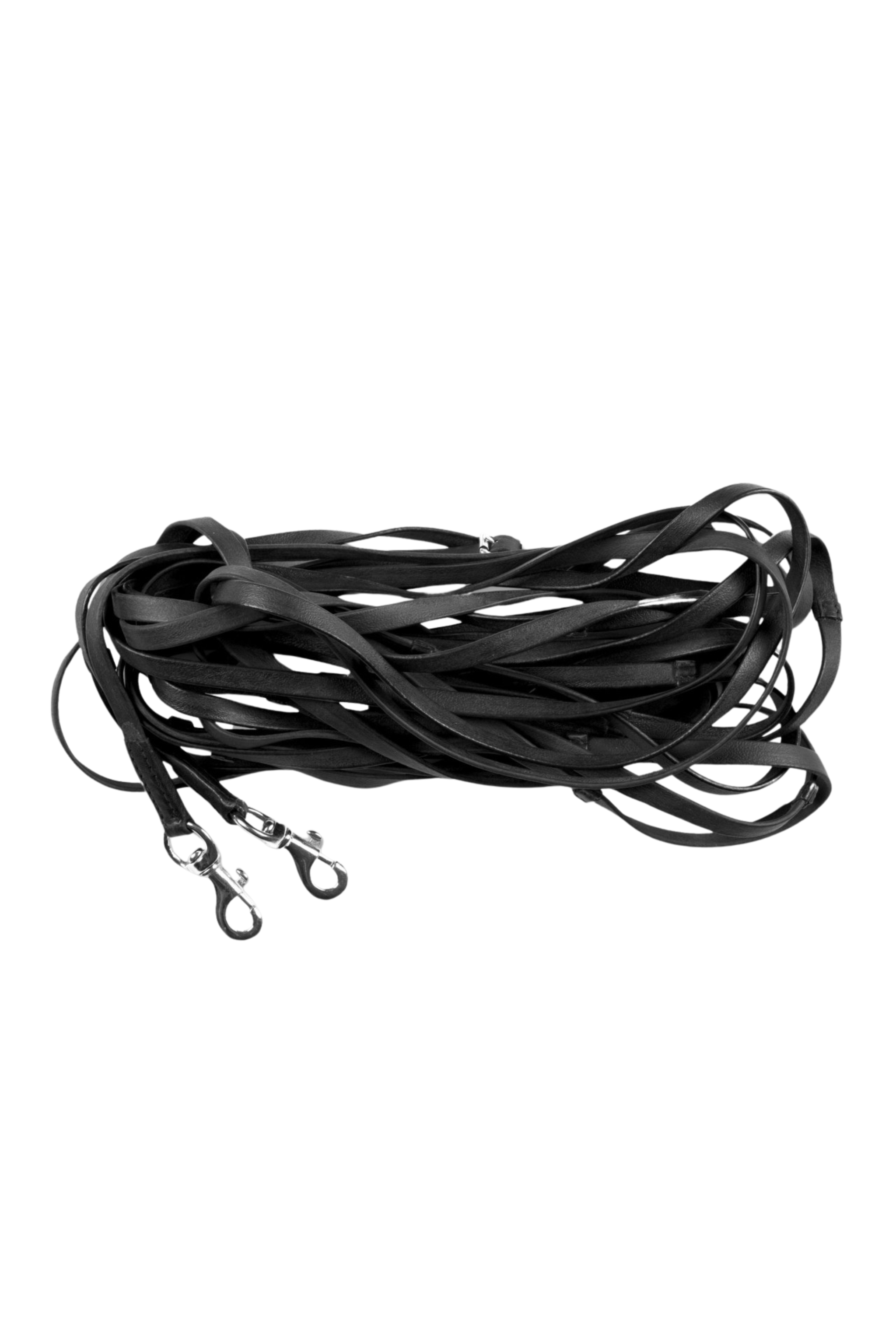 Doppellonge Doppellonge