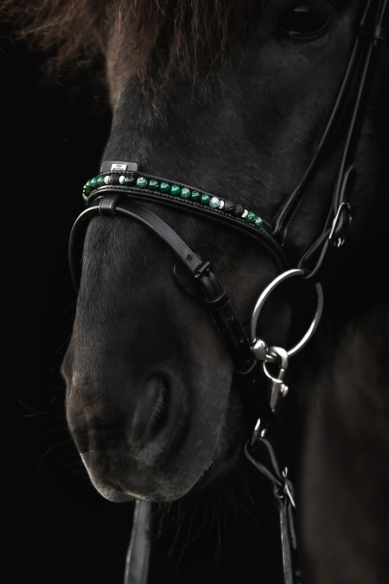Orka Noseband English Combined