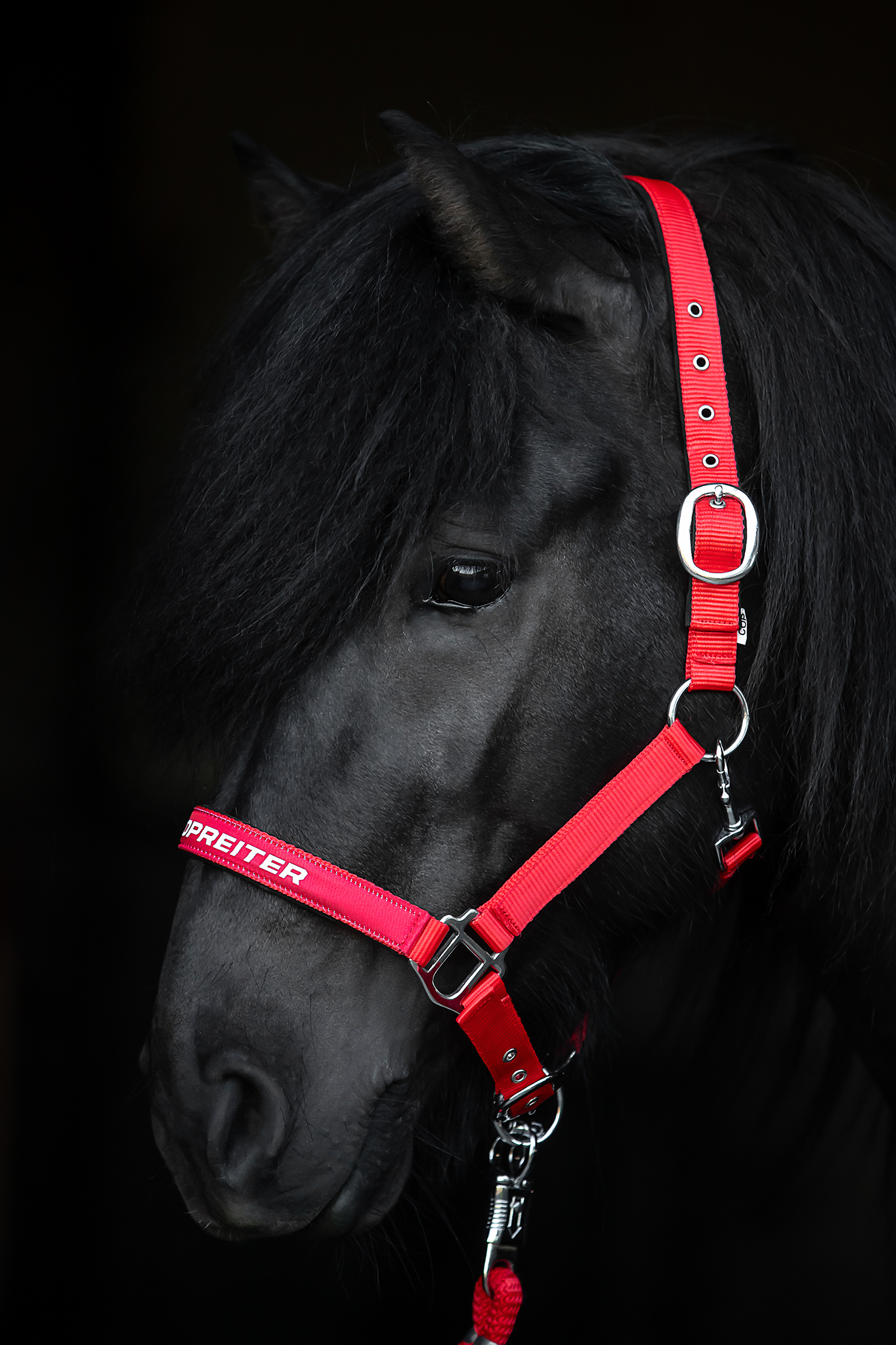 TR II Halfter TR II Halfter