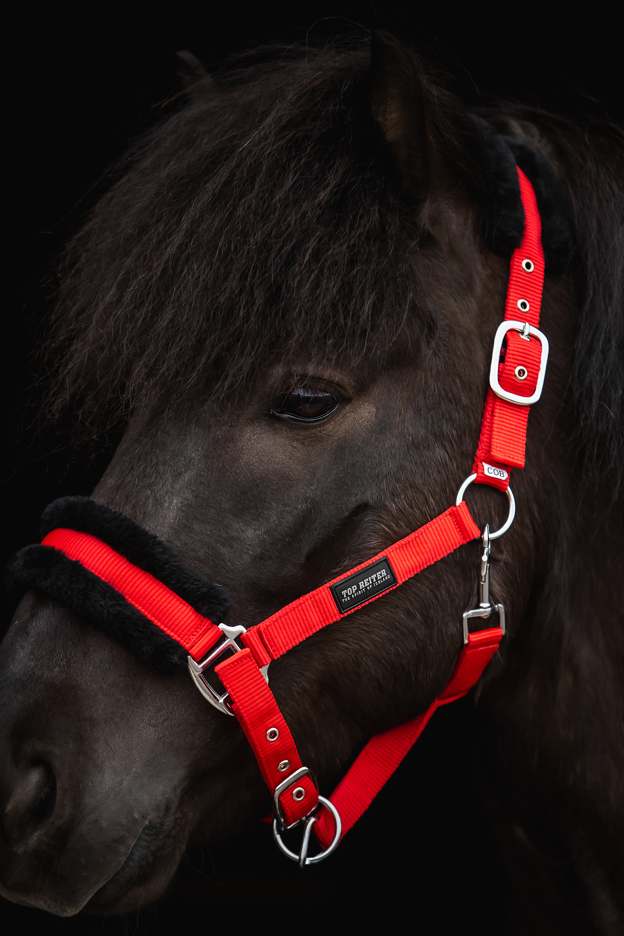 Soft Line Halter Soft Line Halter