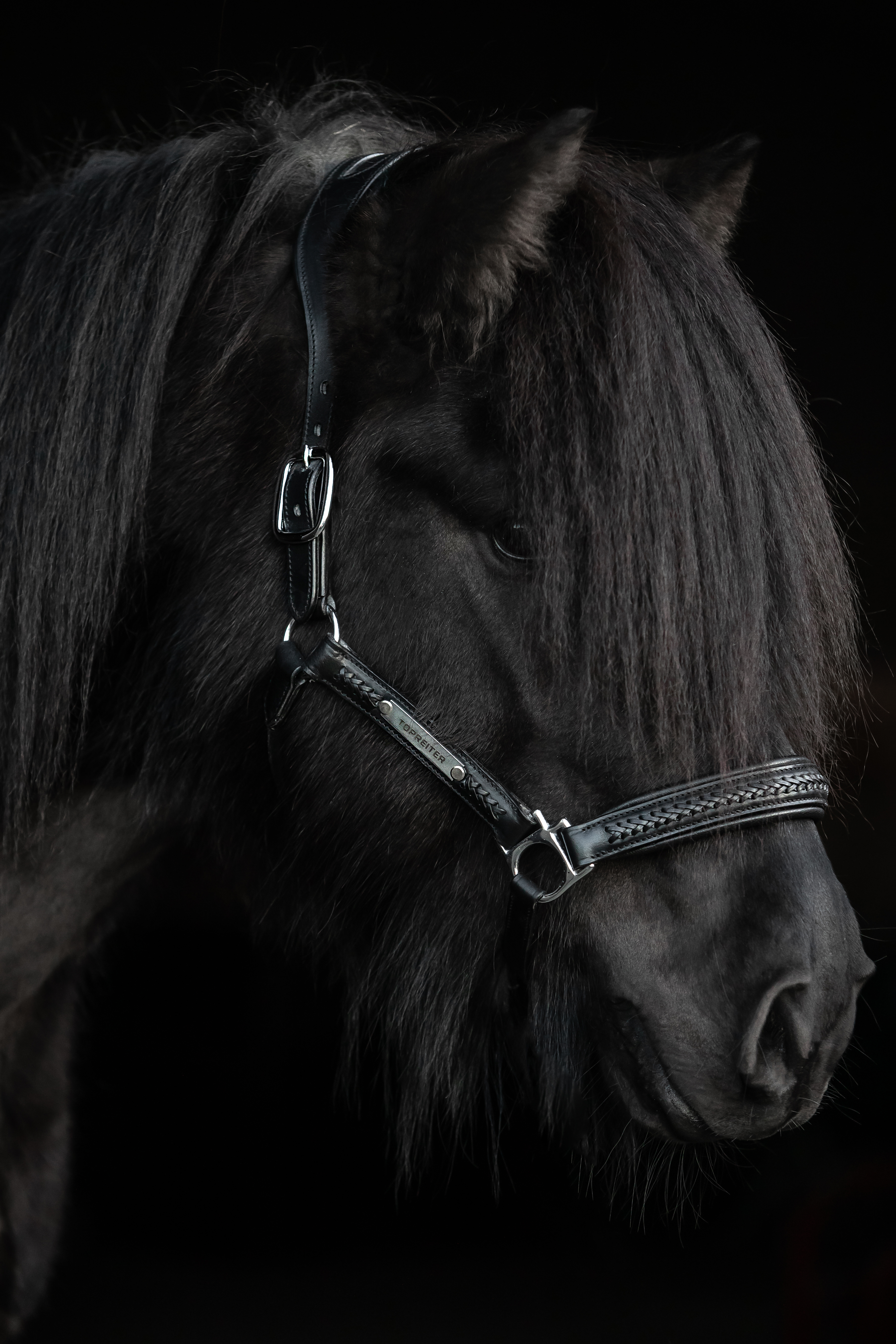 Snillingur Leder Halfter