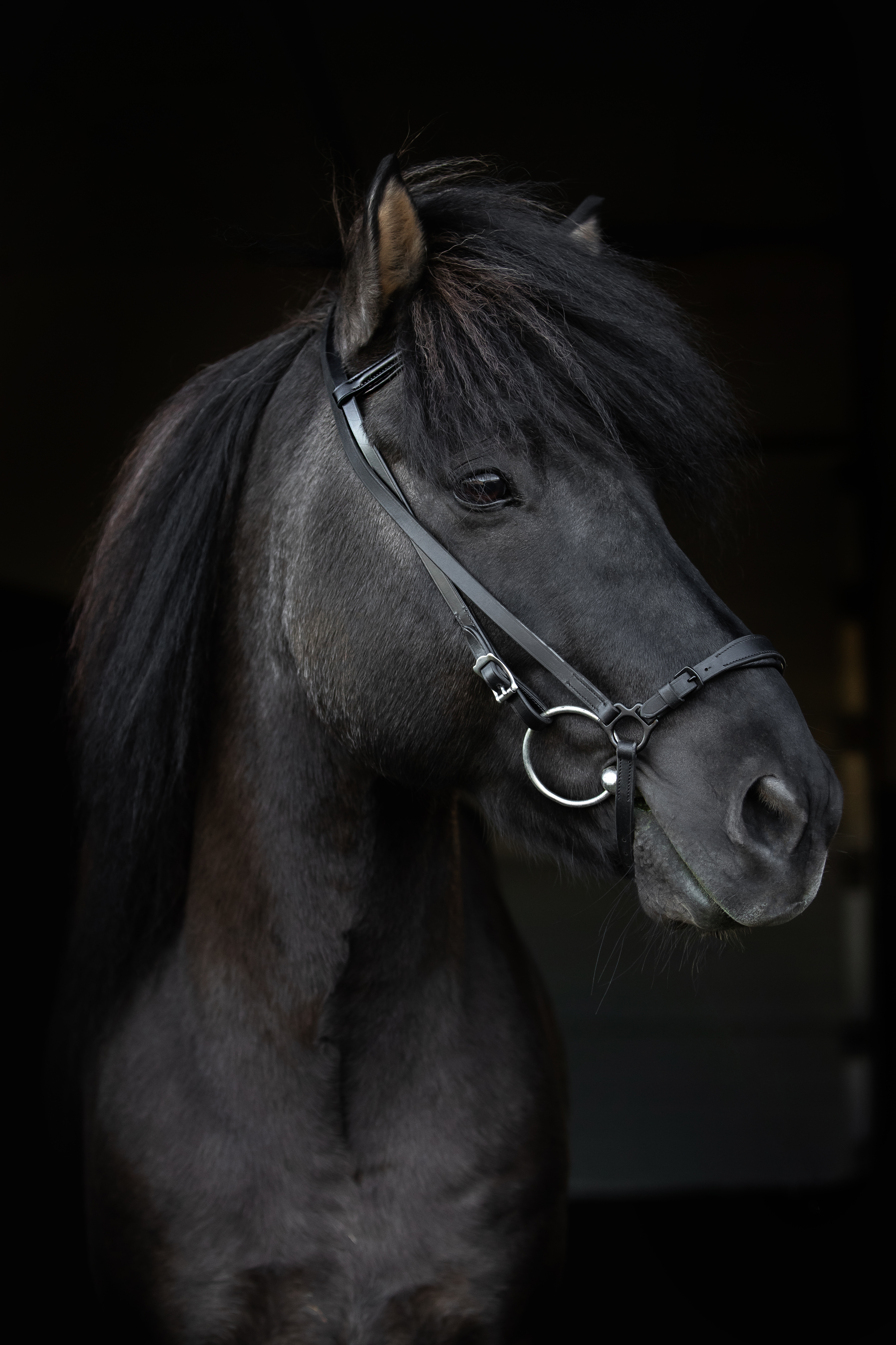 Adjustable Nasenriemen