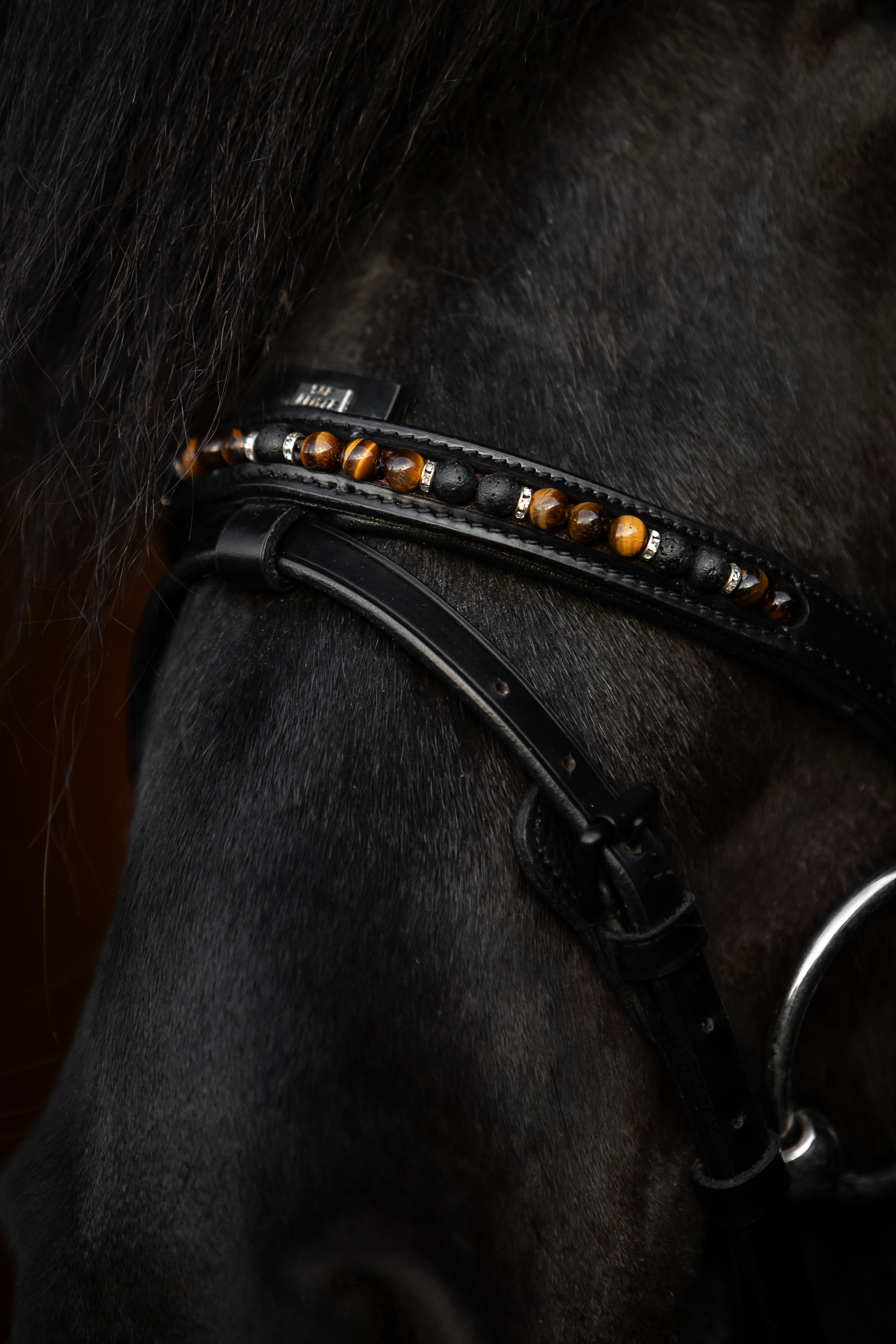 Orka Noseband English Combined