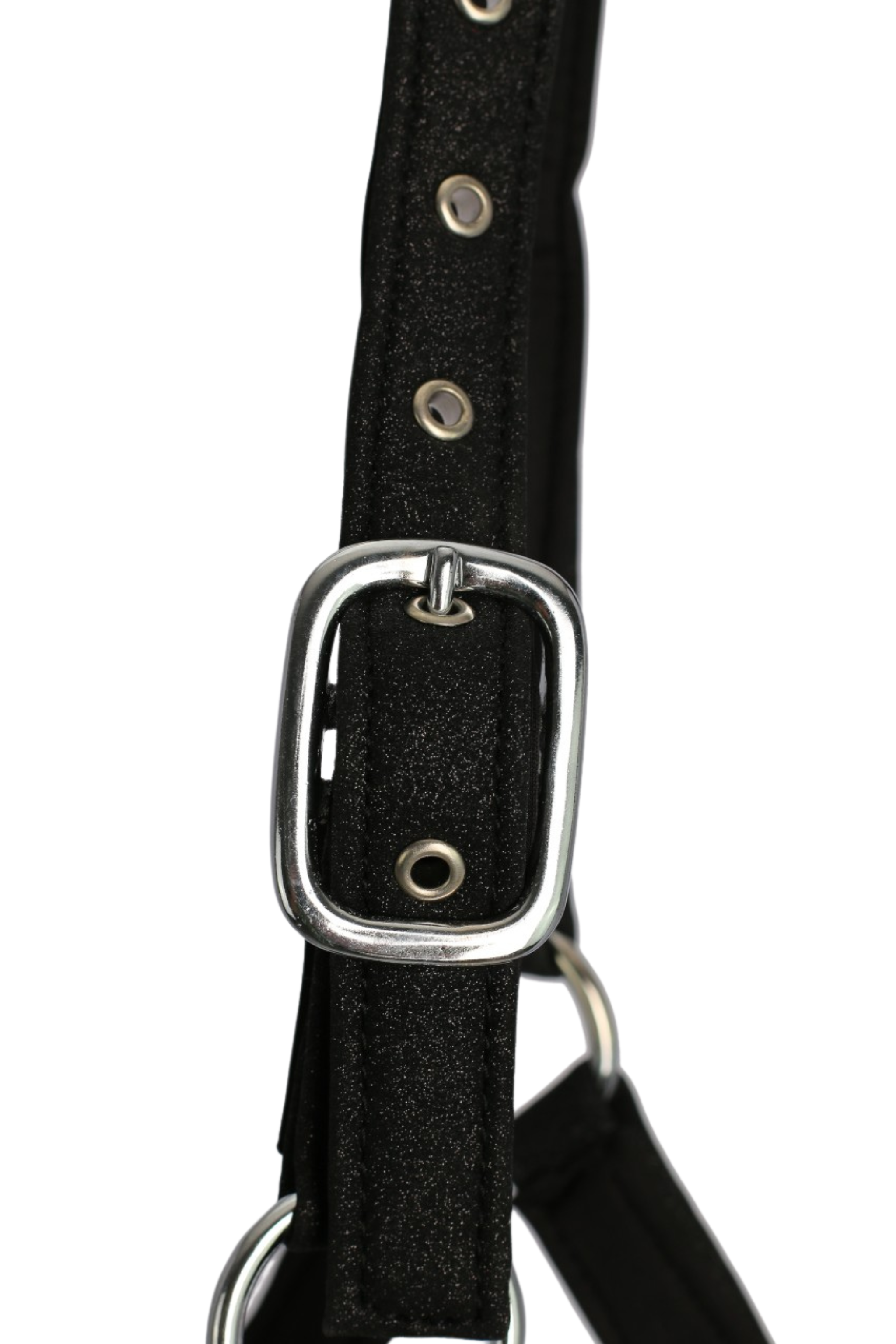 Glitrandi Halfter Glitrandi Halfter