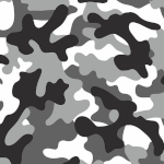 Camouflage