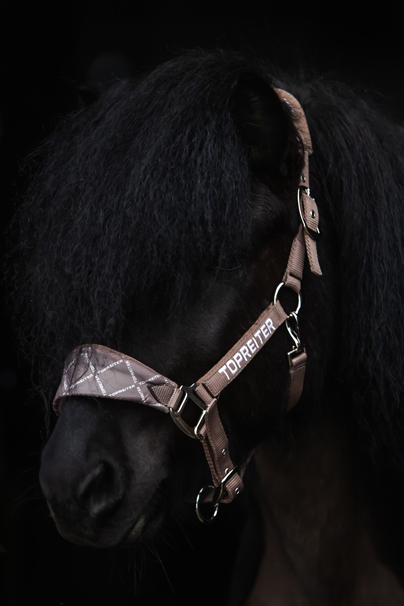 Klaki Halfter Set Klaki Halfter Set