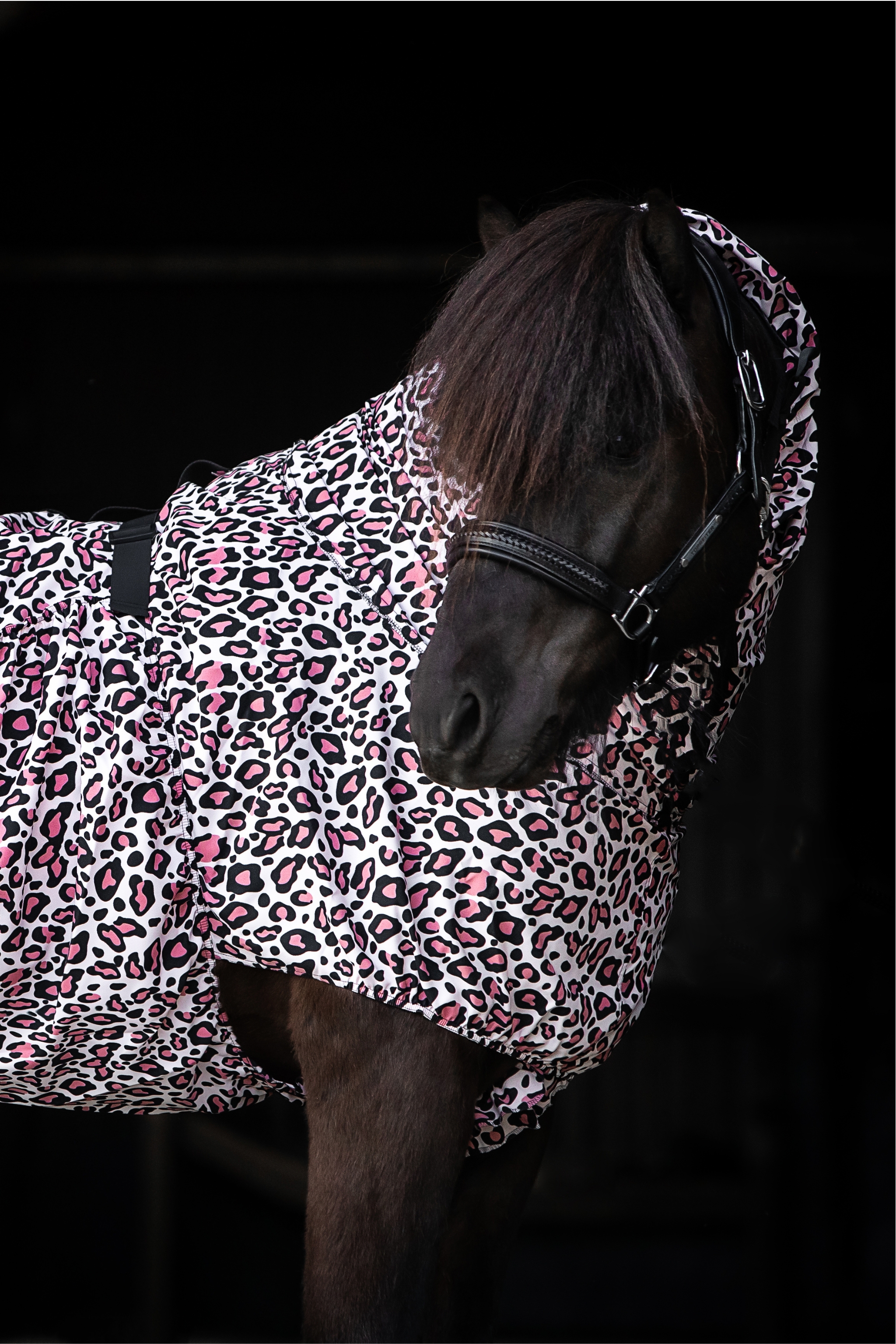Eczema Rugs for Icelandic Horses