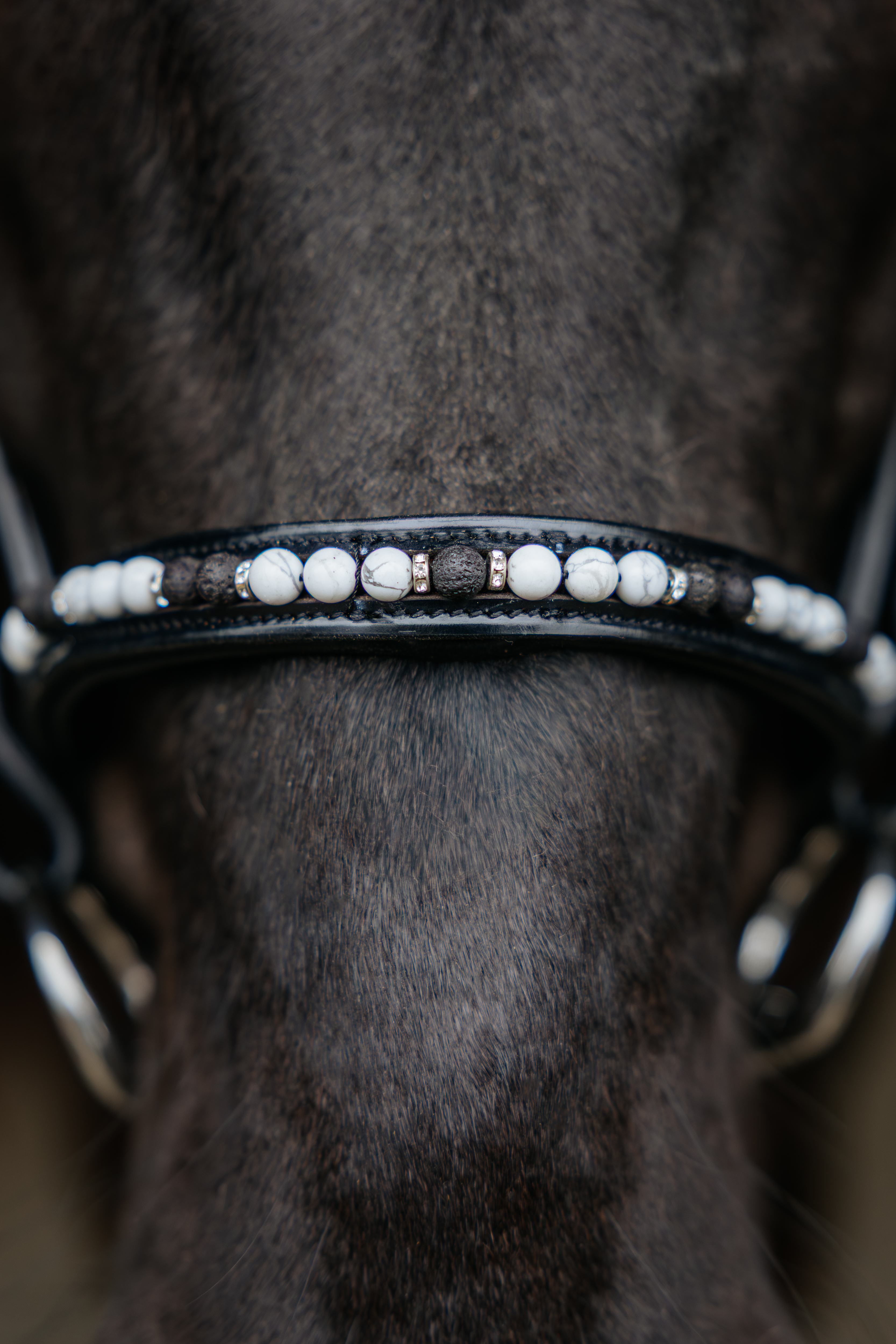 Orka Noseband