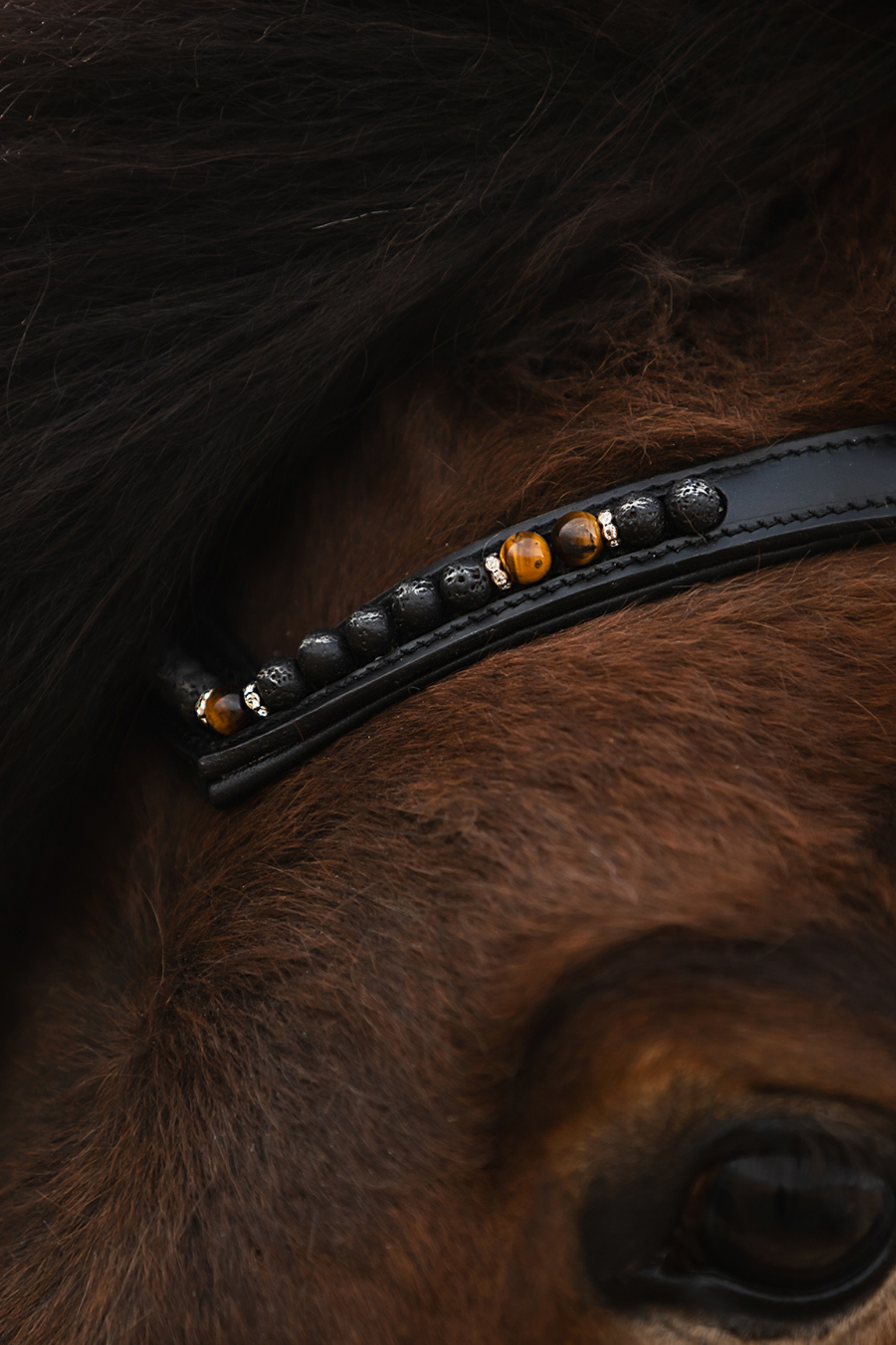 topreiter-headstall-orka