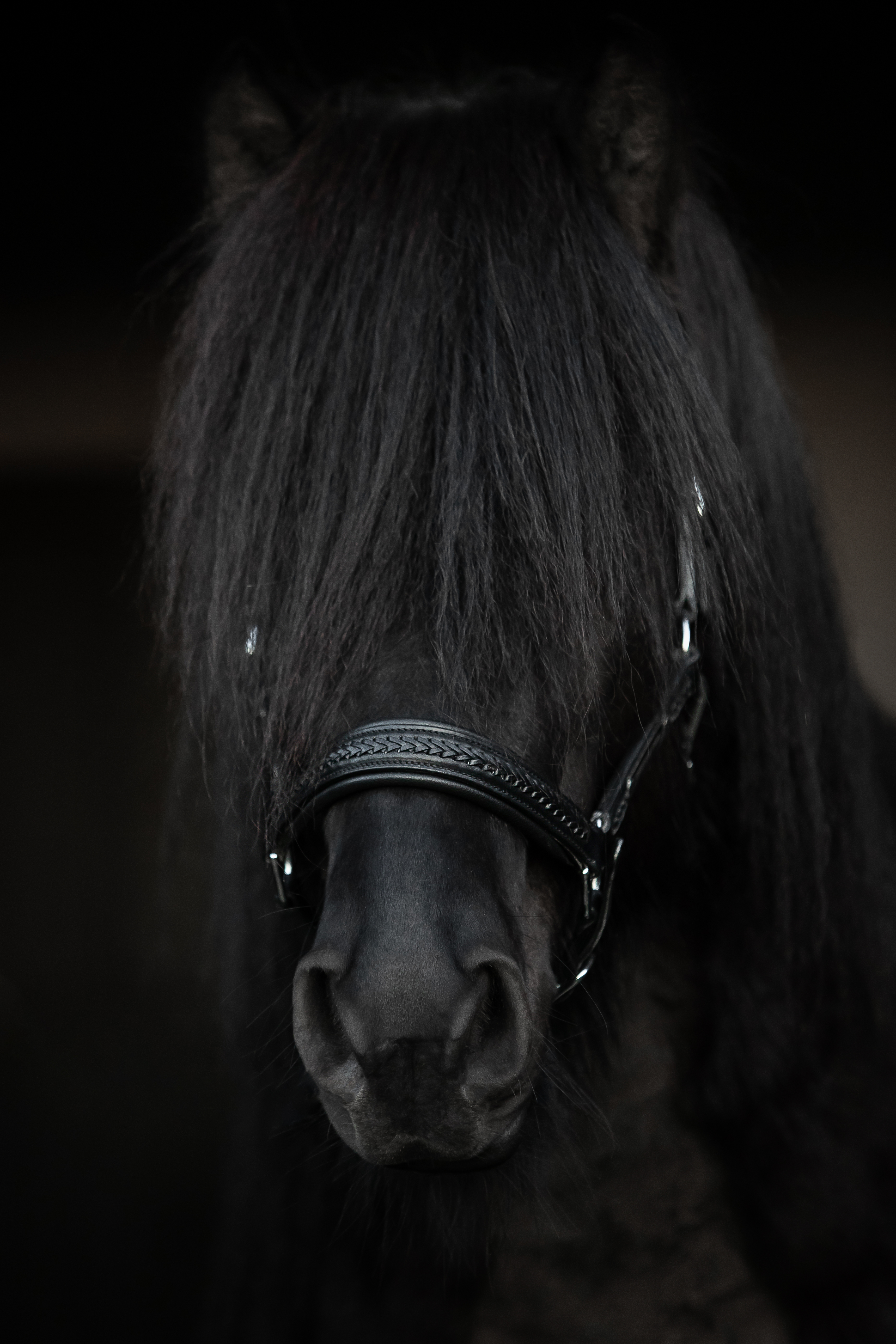 Snillingur Leder Halfter