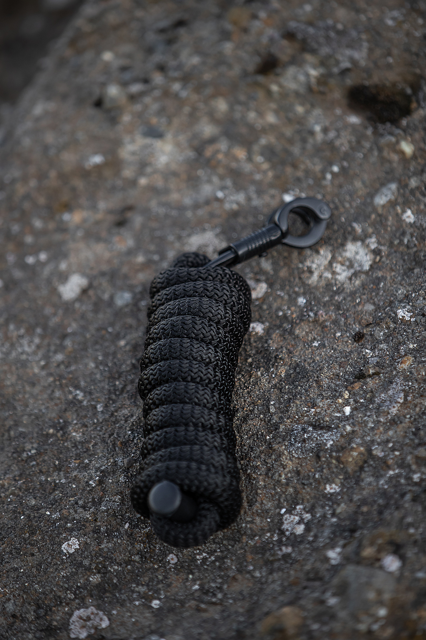 TR Logo Halfter TR Logo Halfter