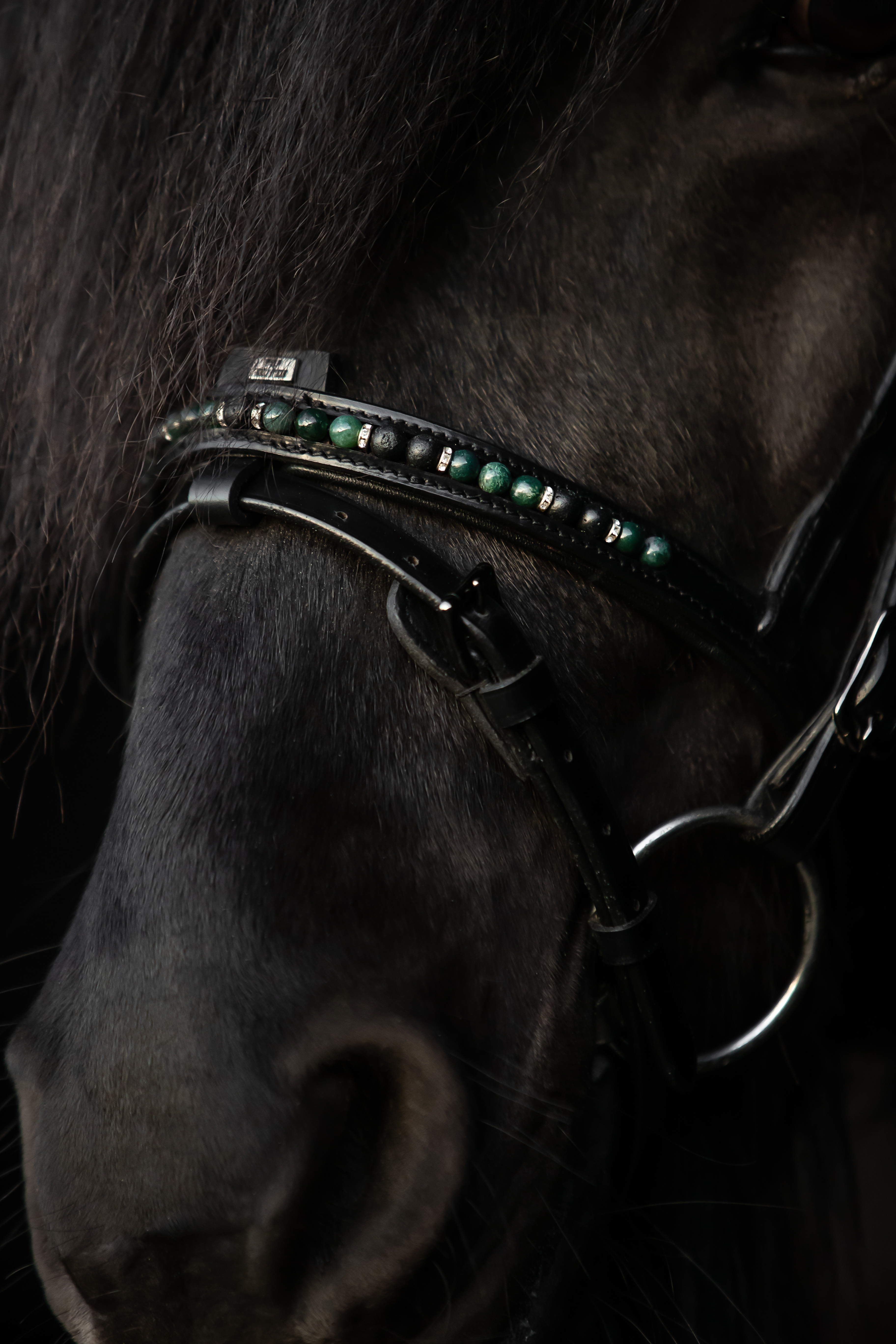 Orka Nasenriemen Englisch Kombiniert