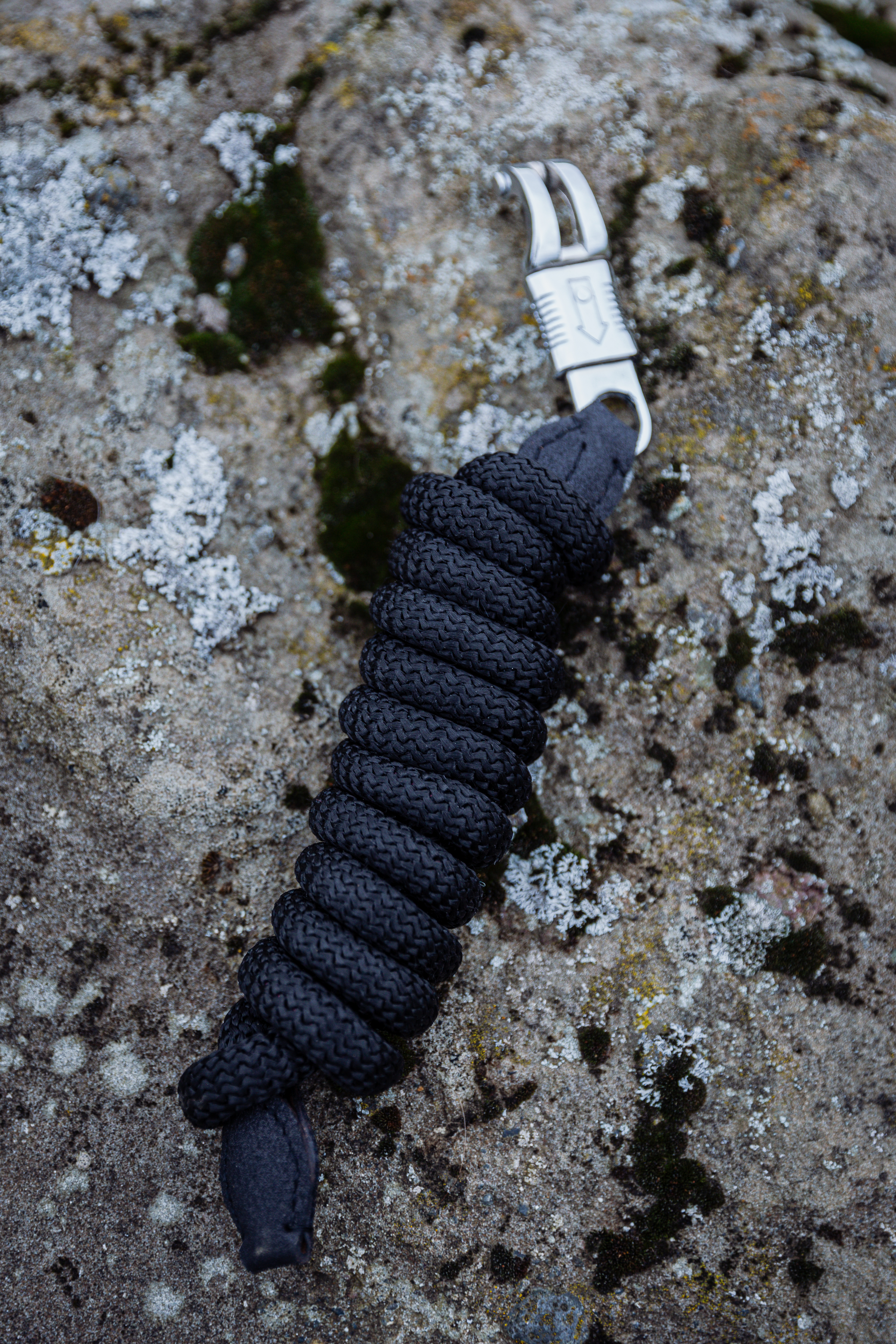 Glitrandi Halfter Glitrandi Halfter