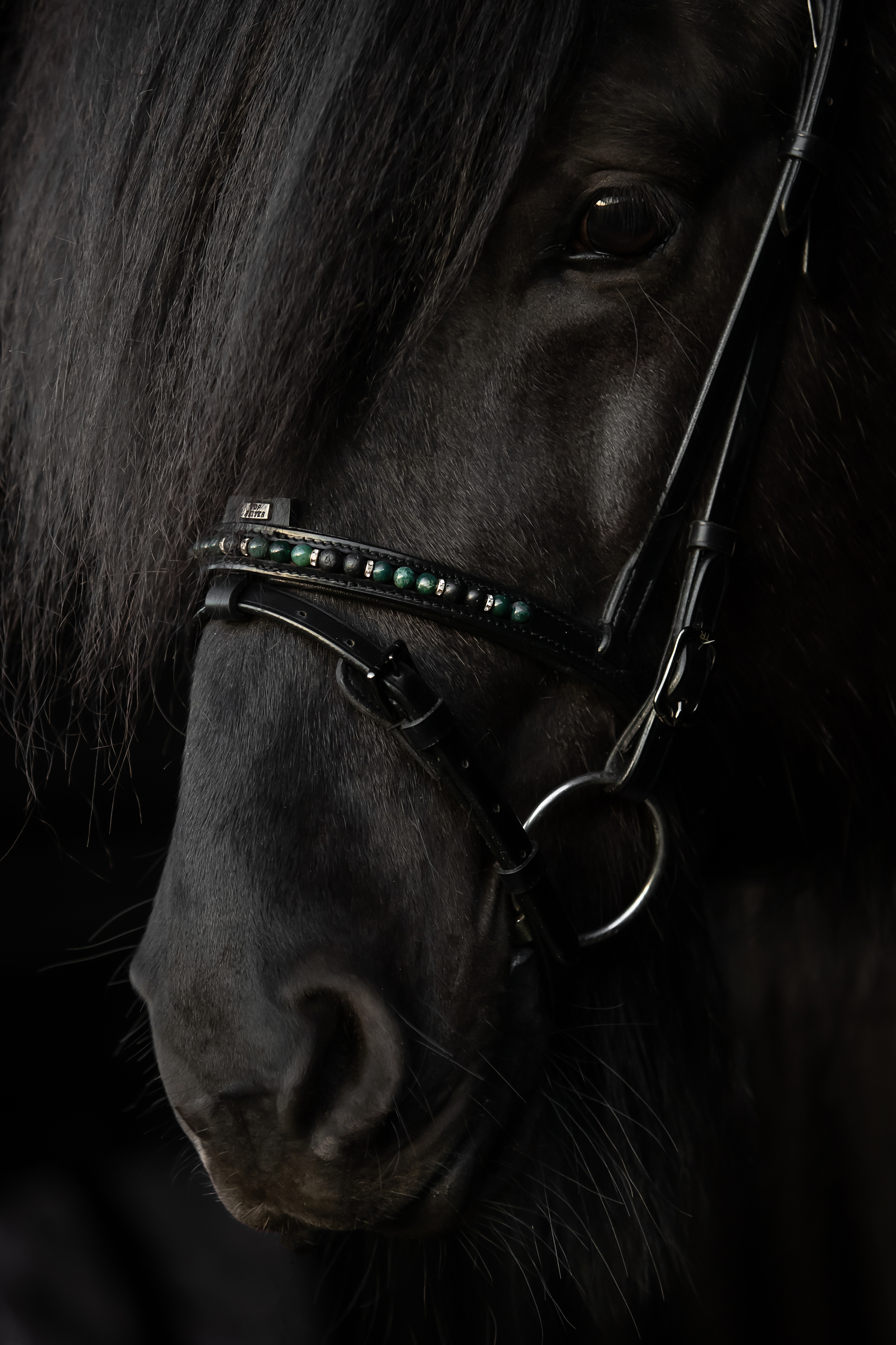 Orka Nasenriemen Englisch Kombiniert