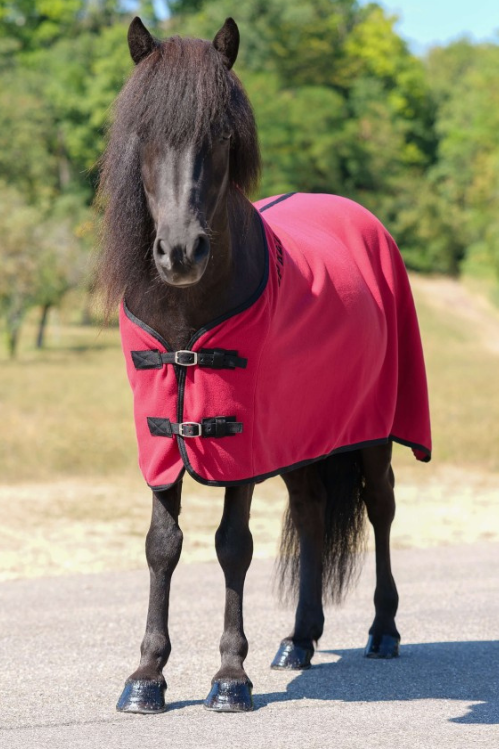 Fleecedecke Fleecedecke