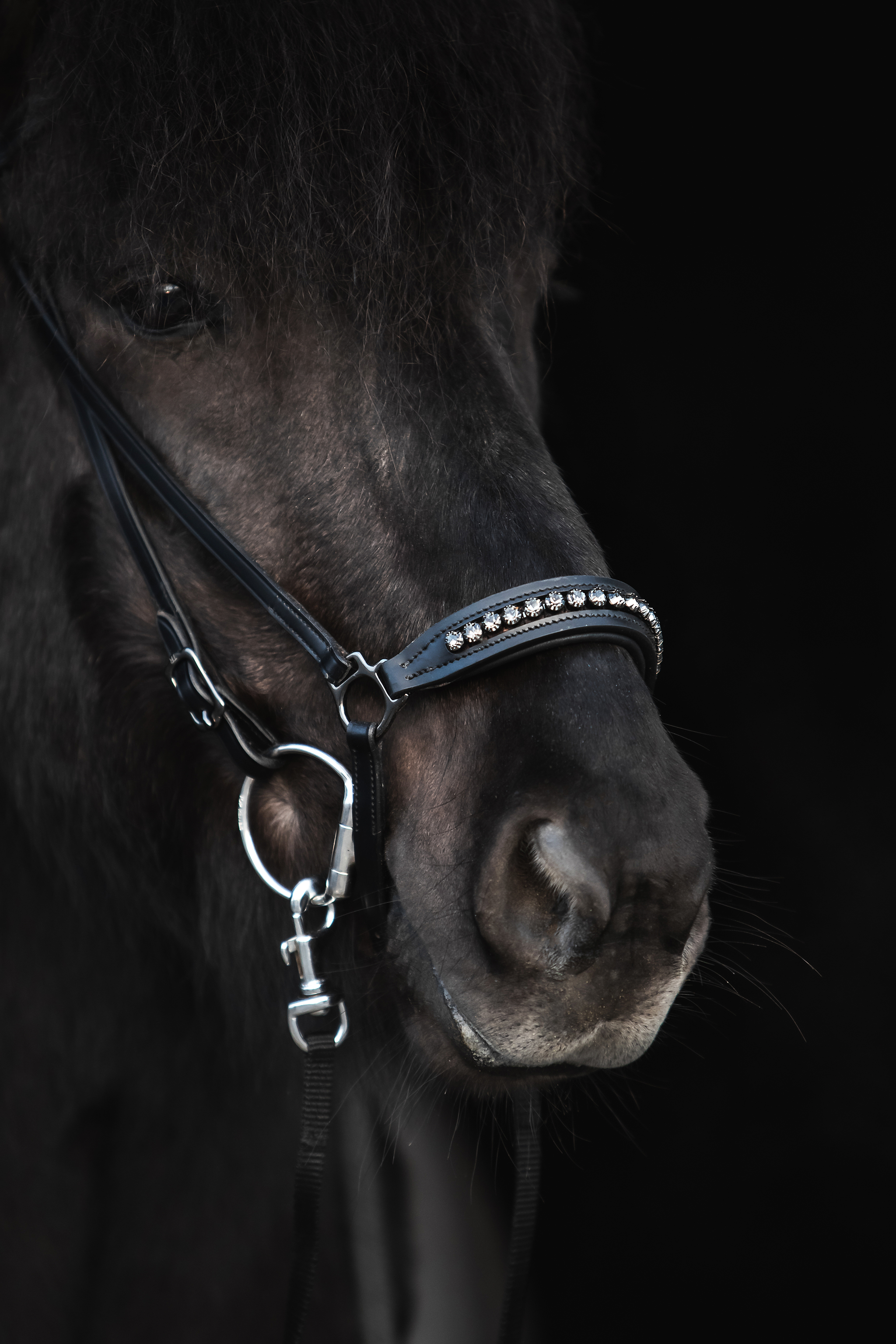 Diamond Noseband Diamond Noseband