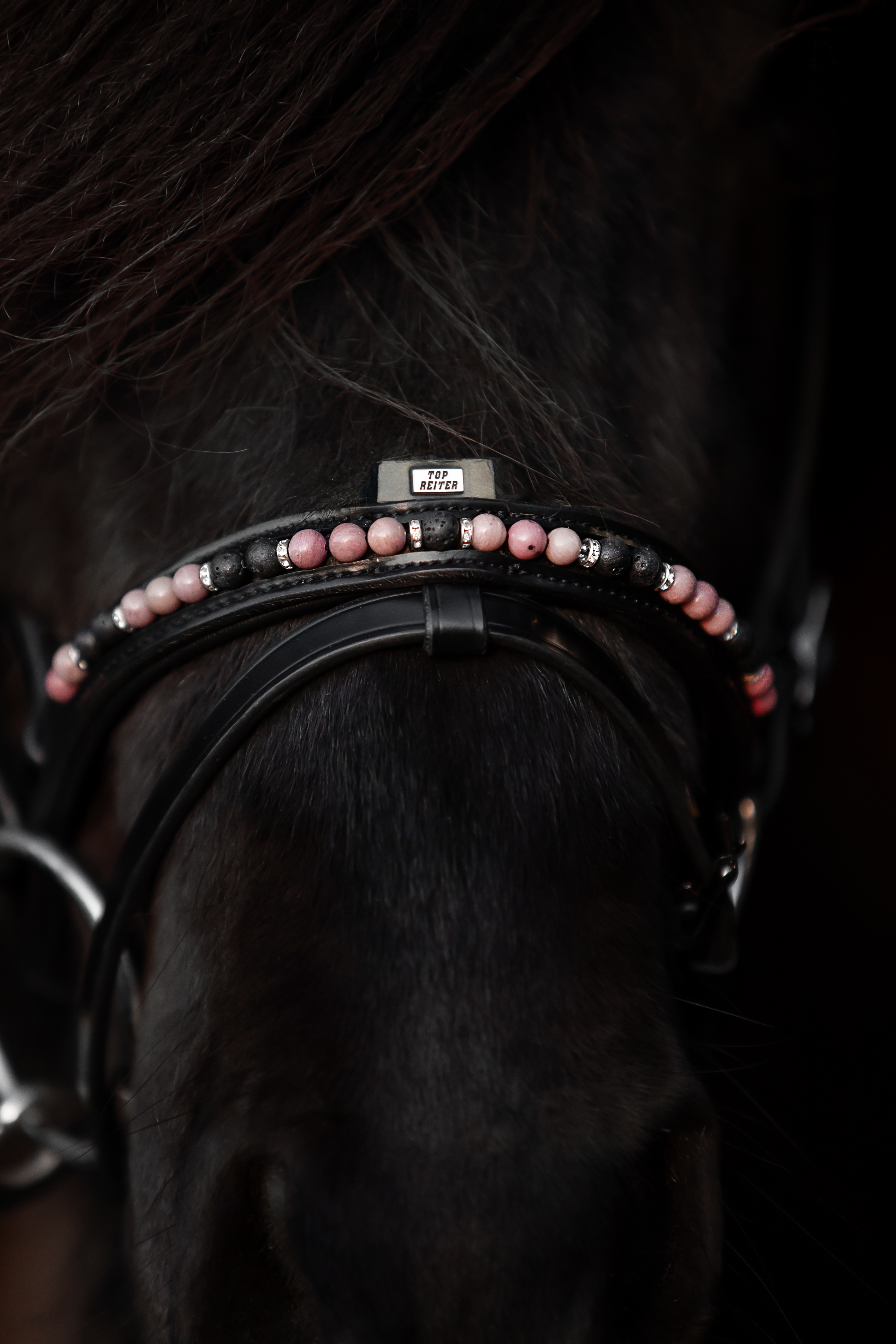Orka Noseband