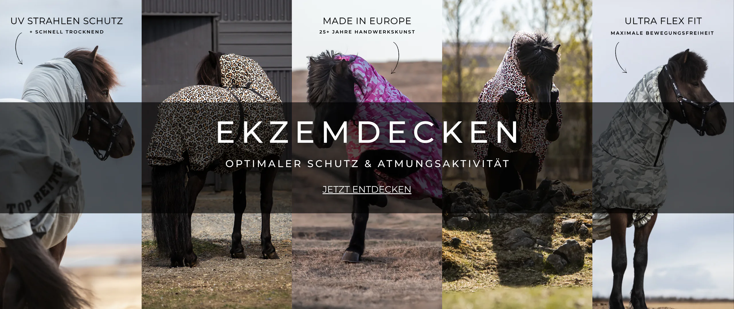 decken_desktop_de