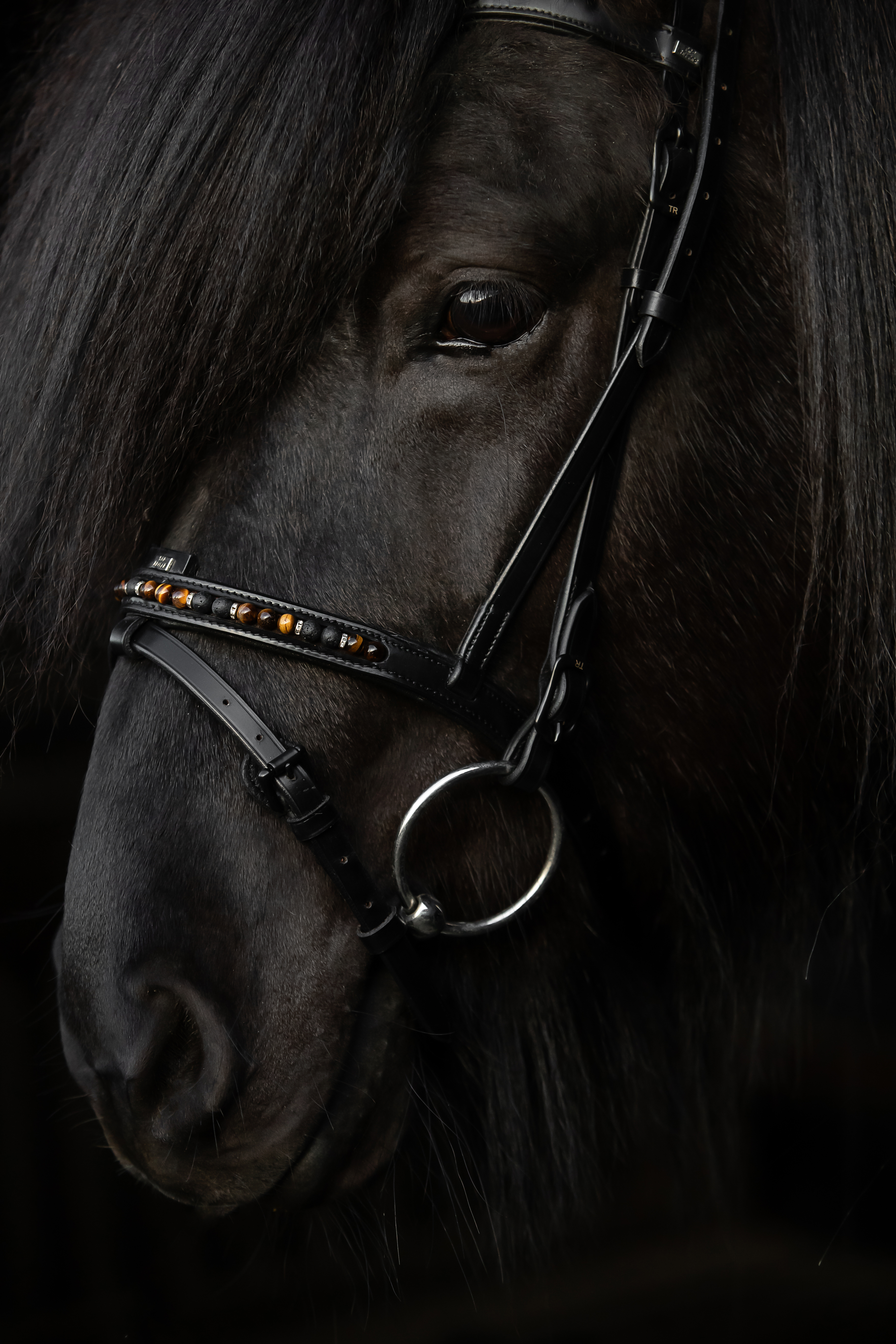 Orka Noseband English Combined