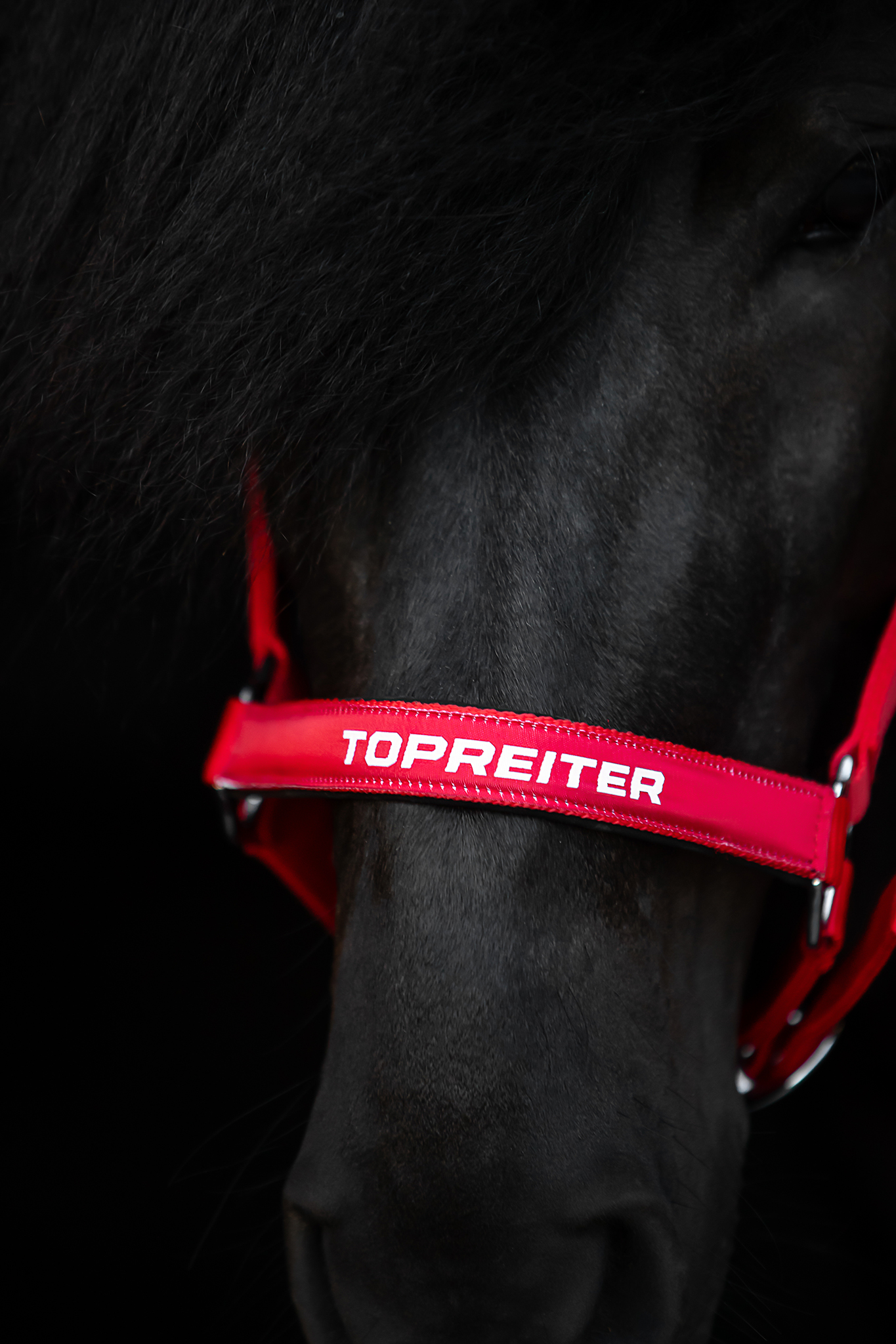 TR II Halfter TR II Halfter